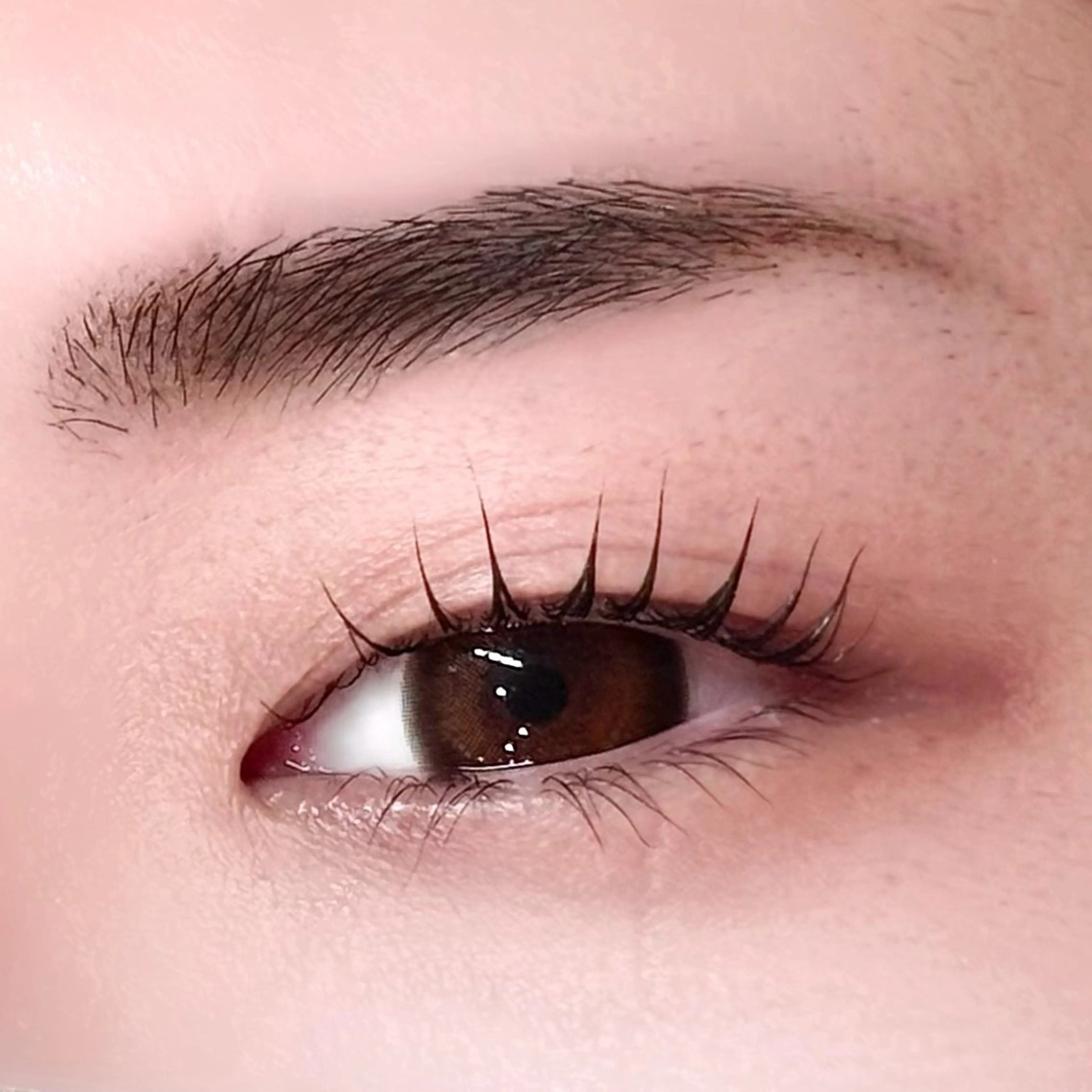 〈初回限定‼︎〉4・5月限定クーポン‼️🧸ドールリフトカール🧸【コーティング込】の写真