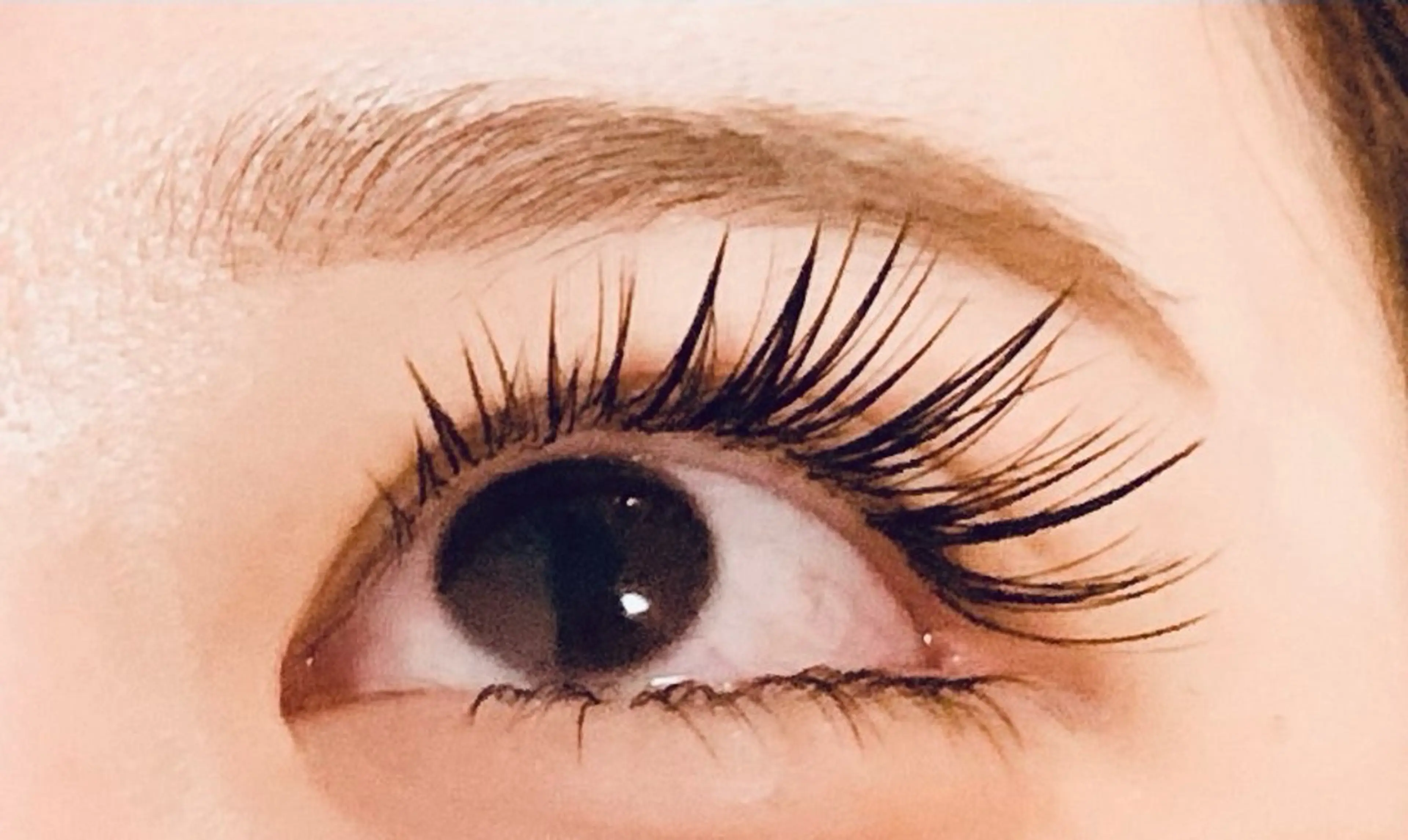 最高級軽量セブル上と下振リ分け200本まで付け放題，オフ無料の写真