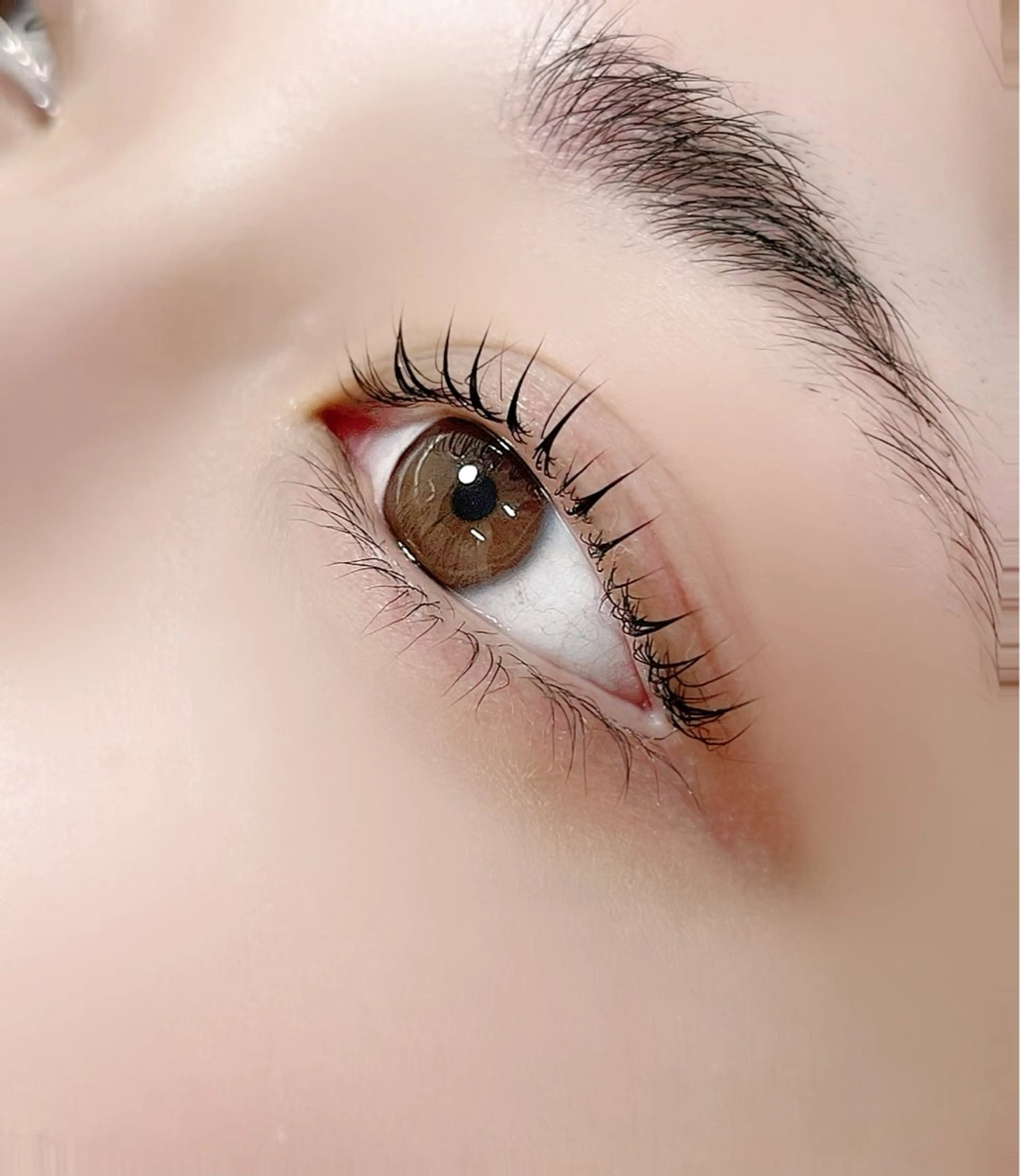 ご新規様《ダメージレスまつげパーマ》ラッシュリフト（所要時間75分目安）の写真