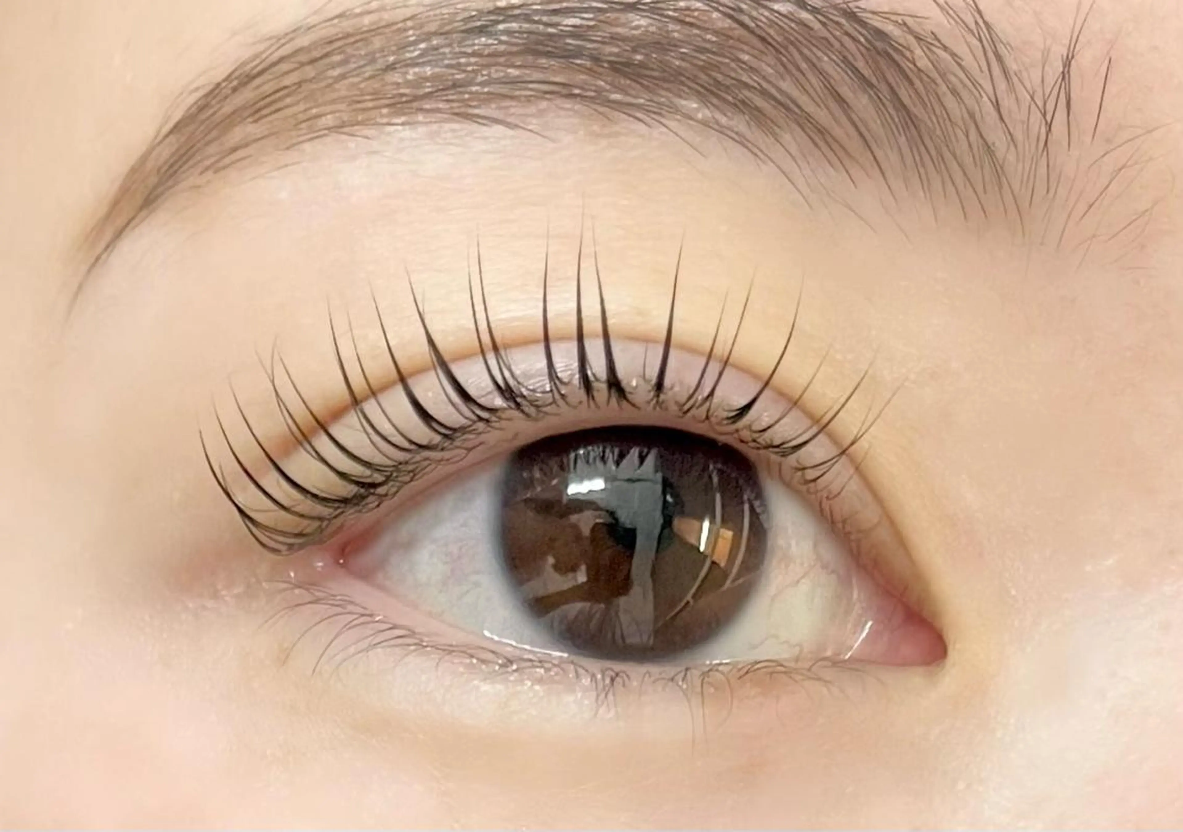 マツエク・マツパ パリジェンヌラッシュリフト Favori 山下のマツエク・マツパデザイン