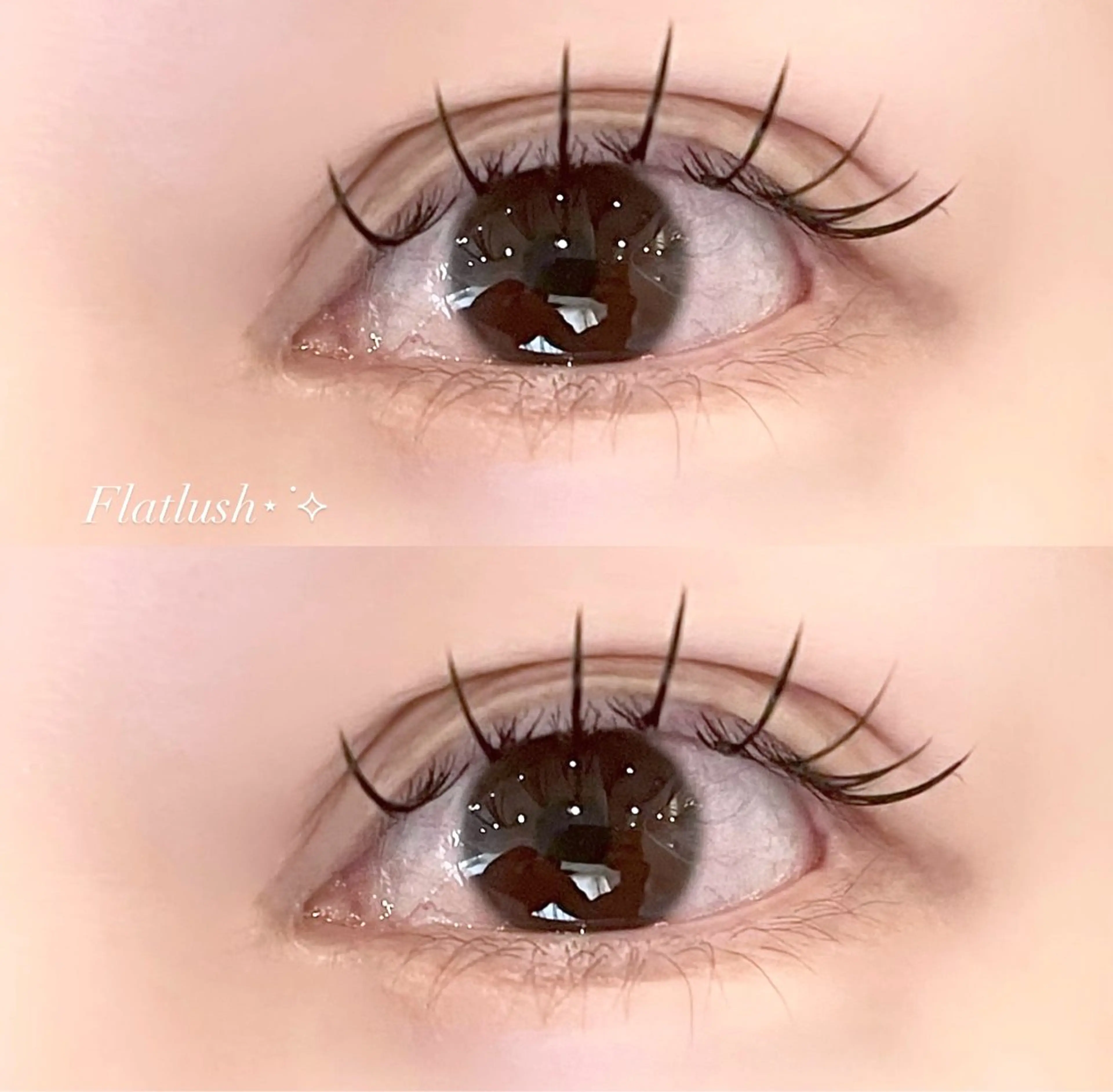 【練習モデル】  オフなし フラットラッシュ80~100本※現金のみの写真