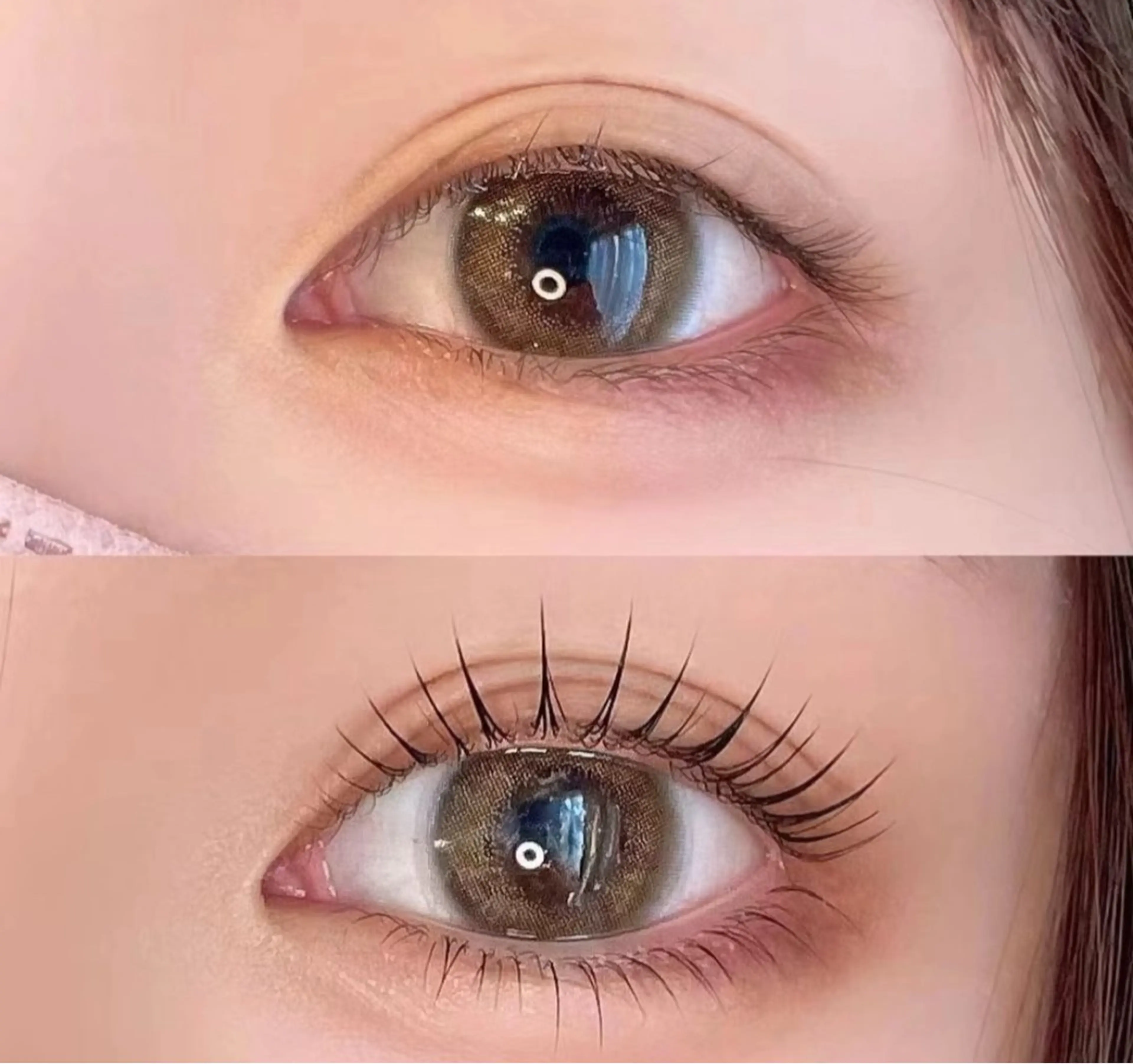 まつげパーマ上+下エクステ20本 ¥3500の写真