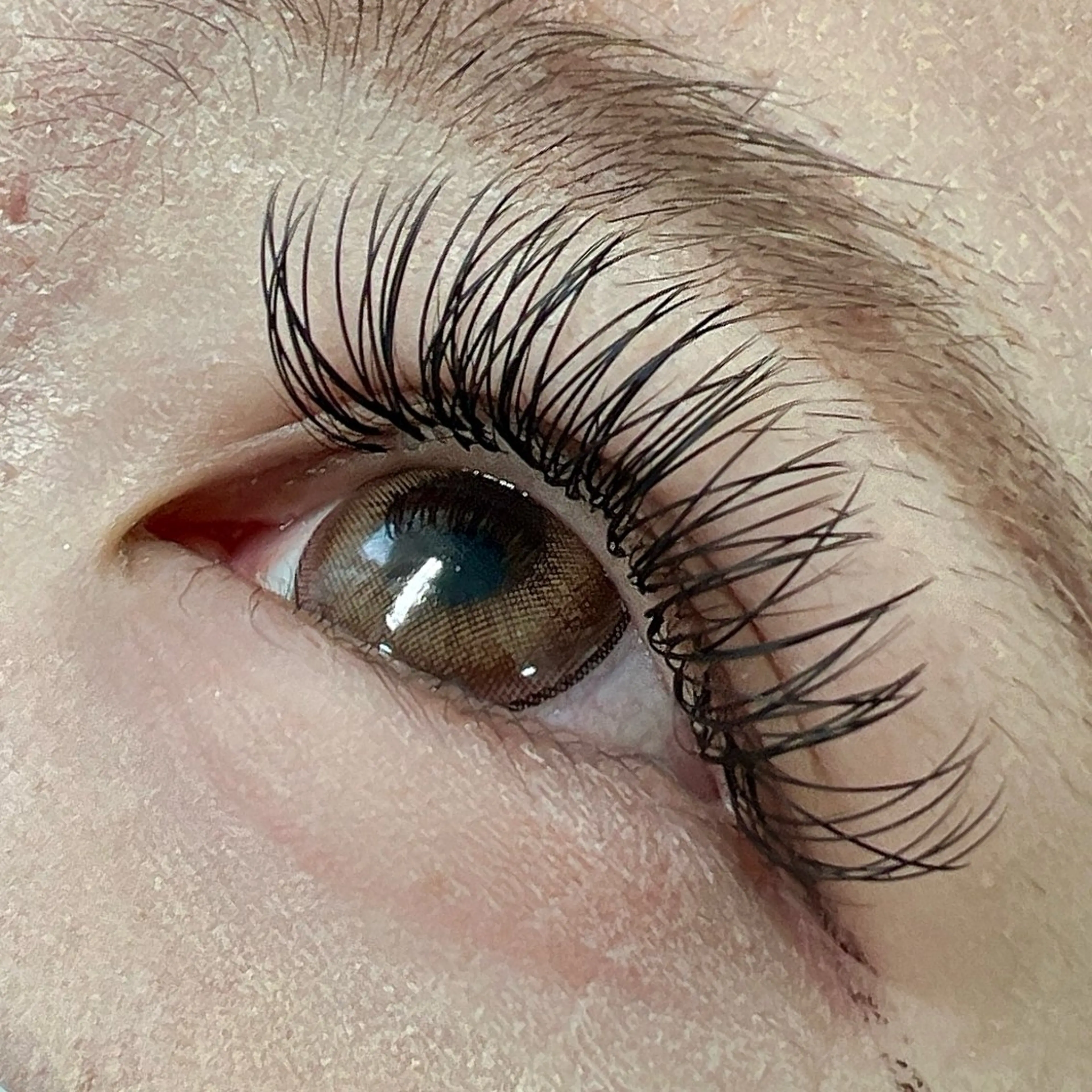 当日限定🤍ダブルフラットラッシュ100束5800円の写真