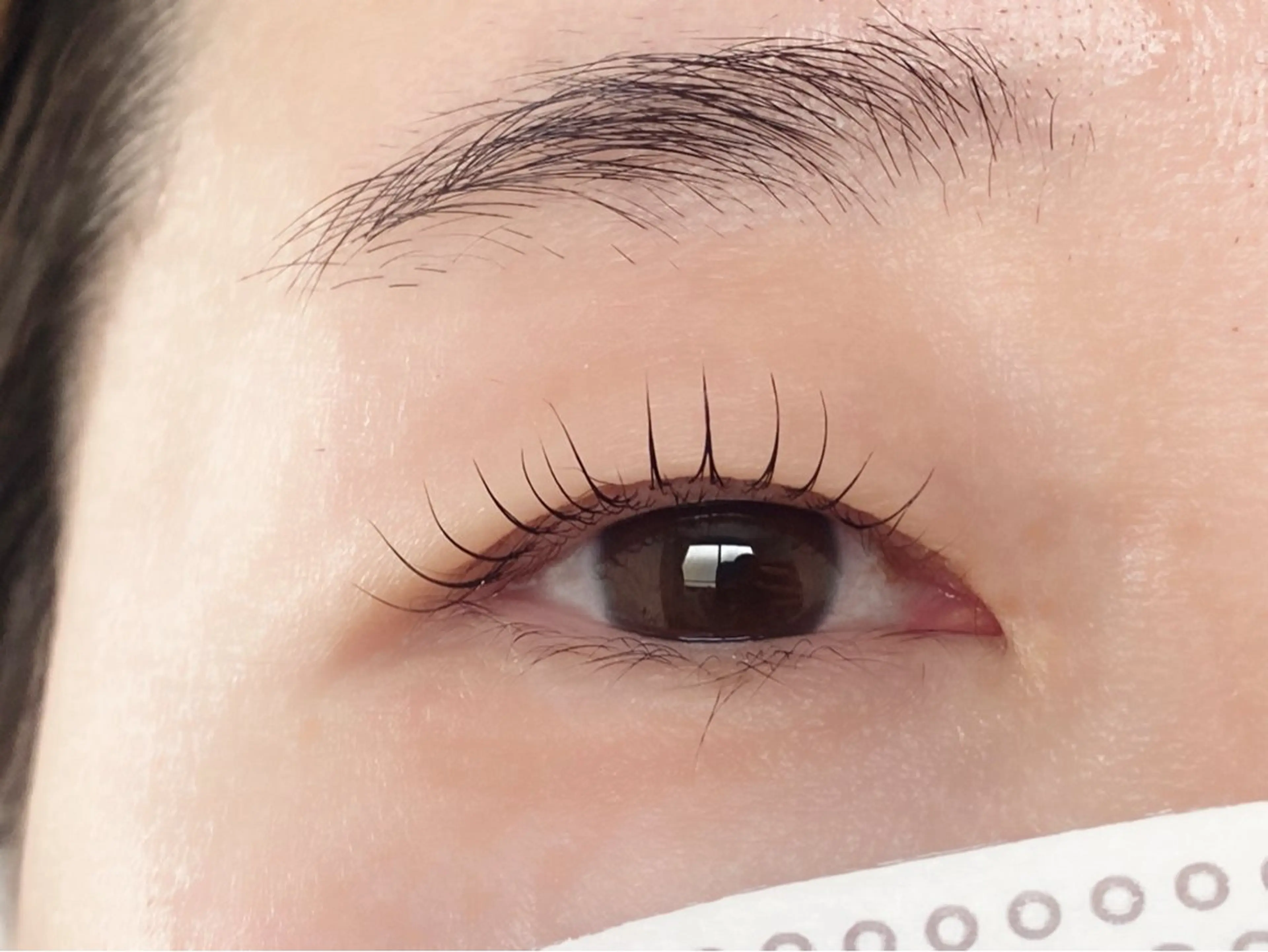 マツエク・マツパ マツパ magi 宇都宮店 本多まほ🌼のマツエク・マツパデザイン