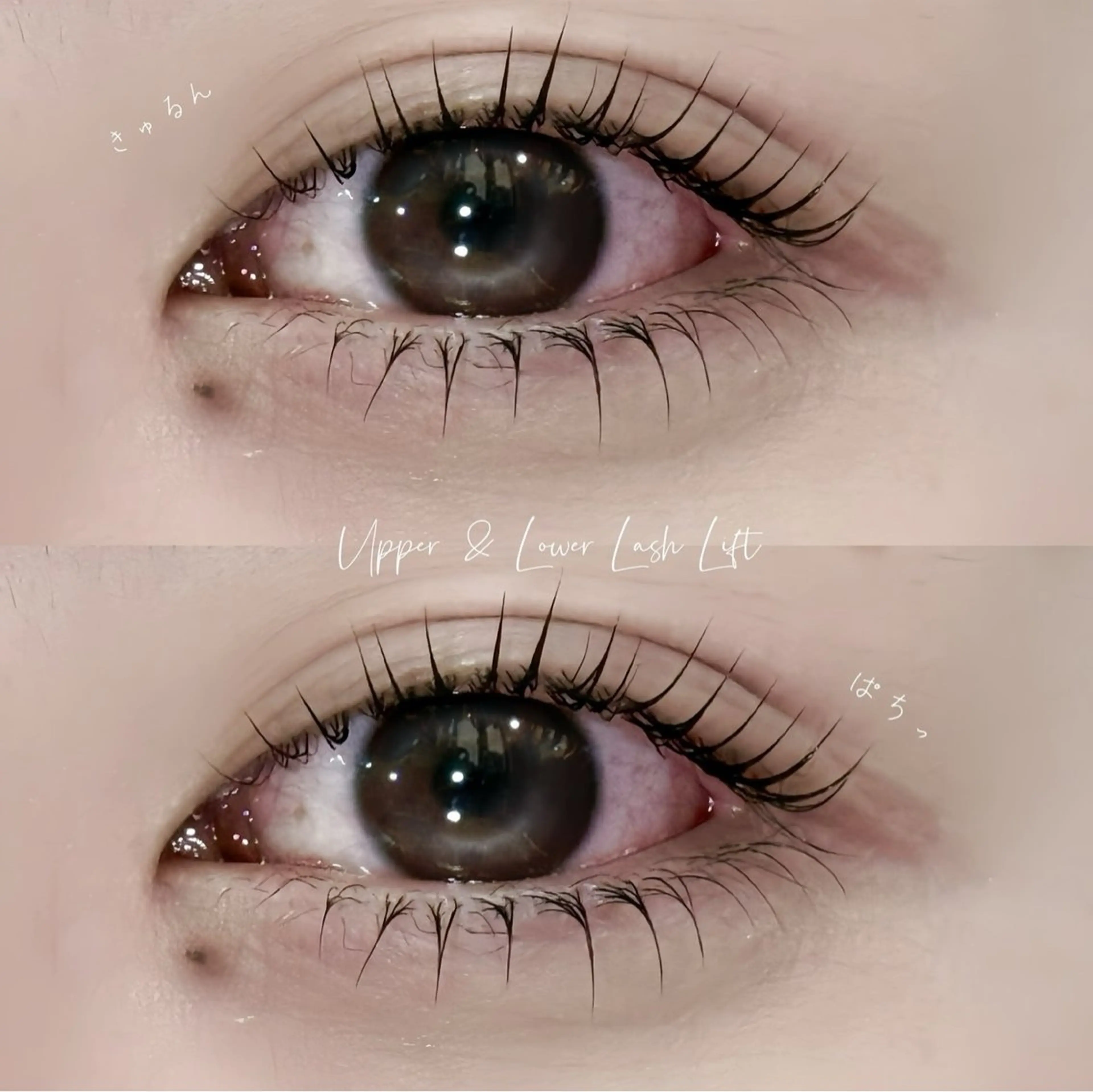 マツエク・マツパ 🍒MII /まつ毛パーマ🍒のマツエク・マツパデザイン