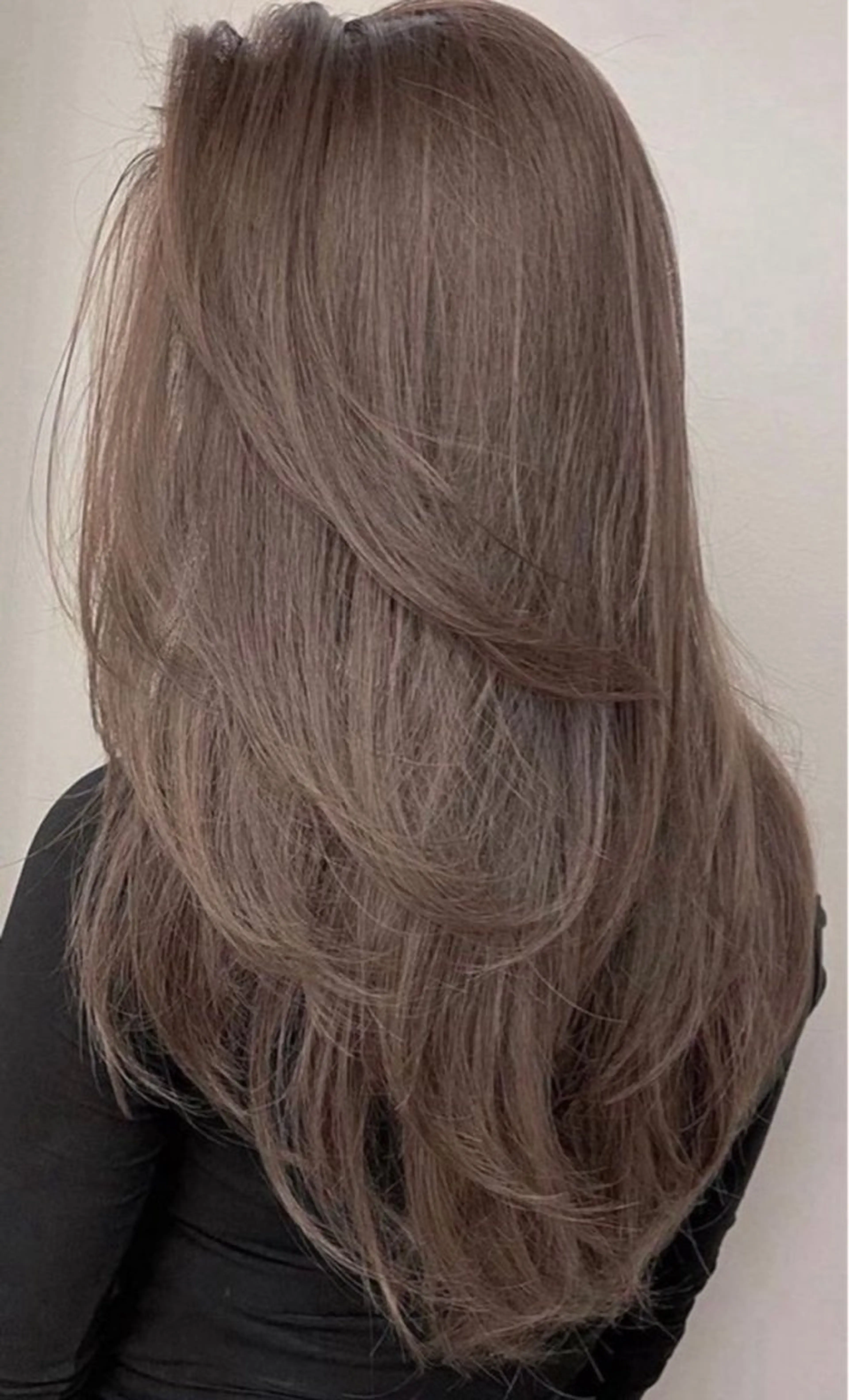 ワンカラーの写真