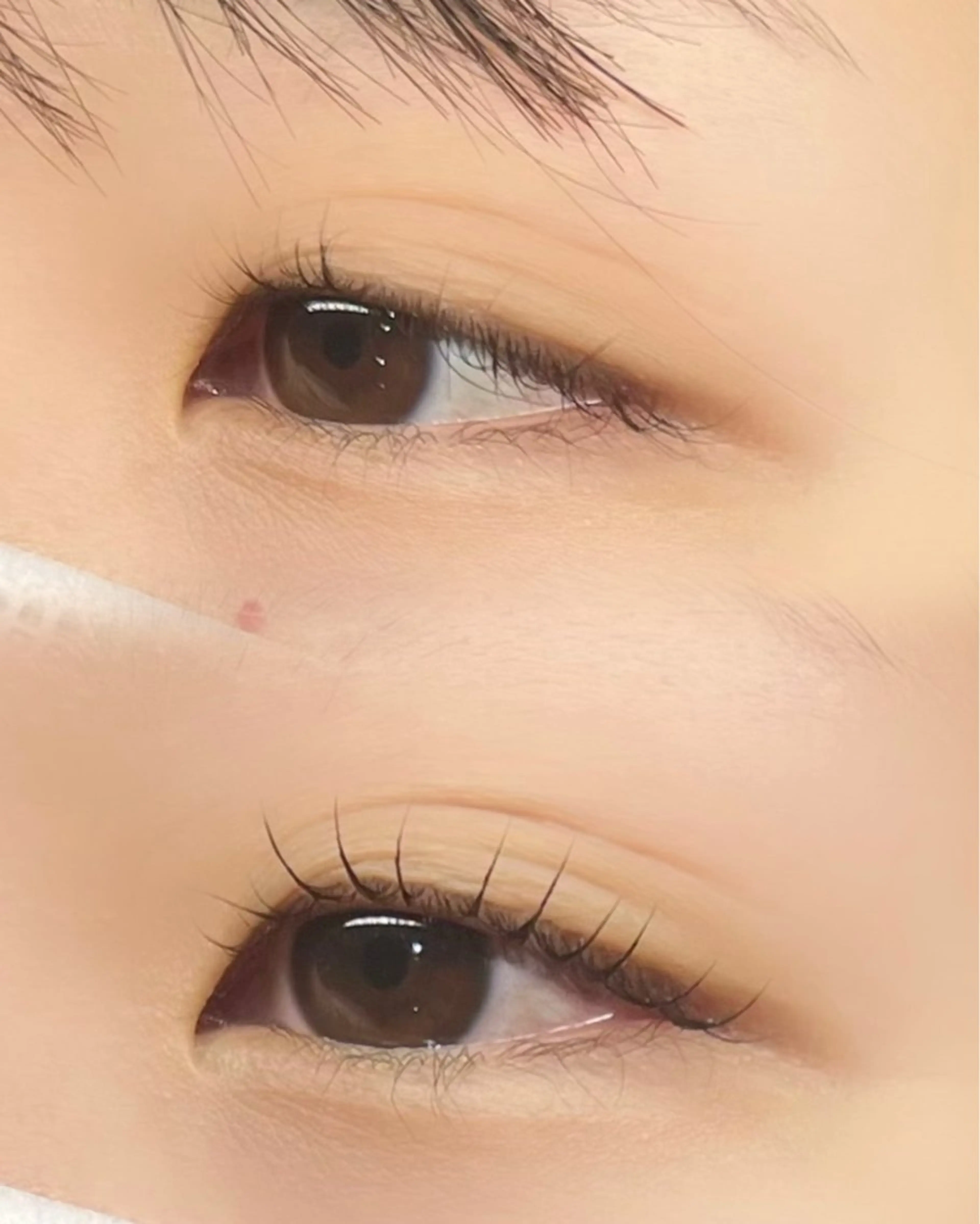 マツエク・マツパ マツパ 🌷eyelash 🌷SAYURIのマツエク・マツパデザイン