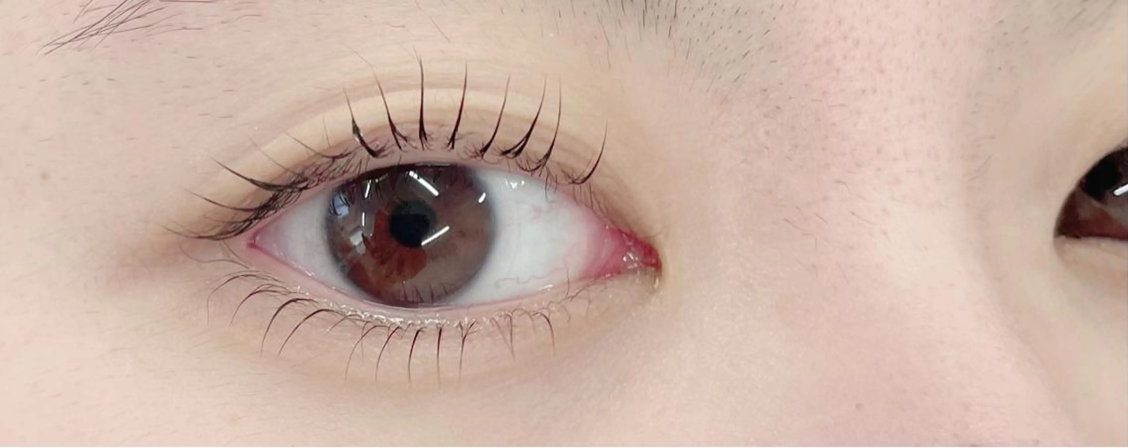 マツエク・マツパ まつげパーマ マツパ THE BALM🦋 上間のマツエク・マツパデザイン