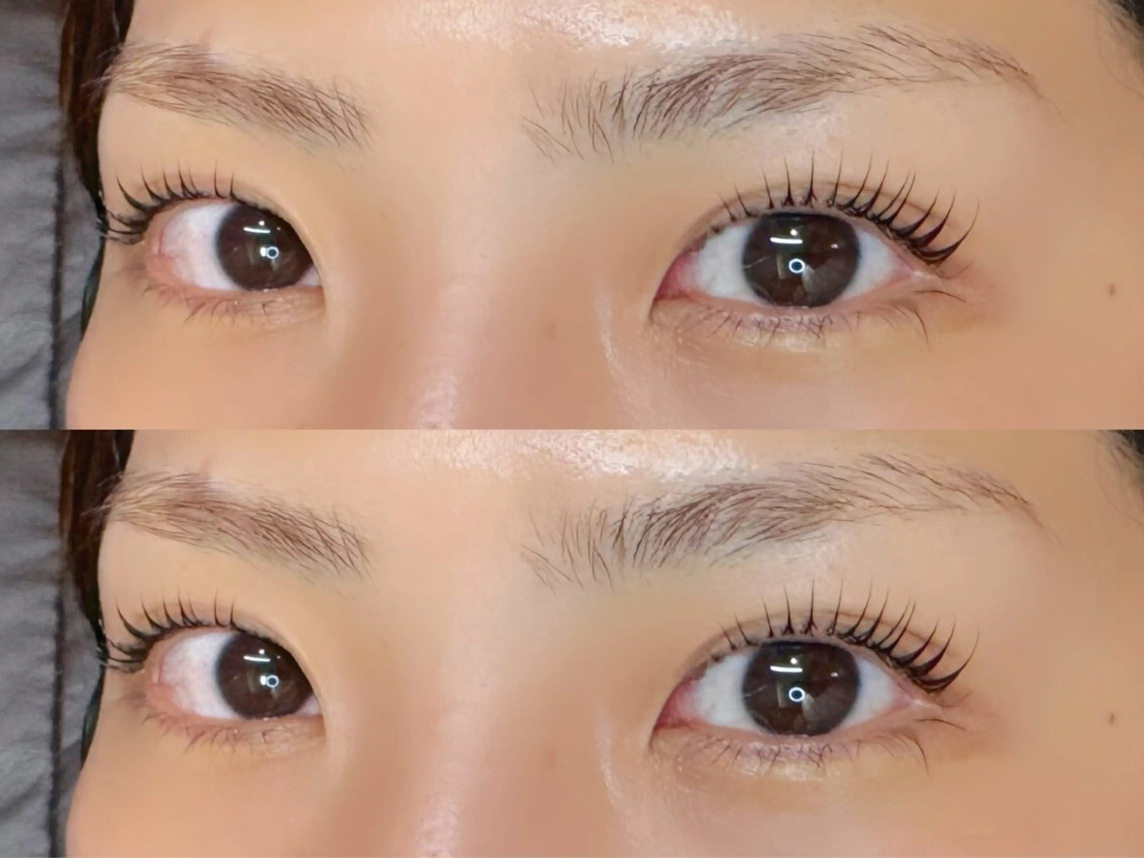 限定クーポン︎🌼🌈上まつ毛パーマ👀➕コーティング仕上げ✨〔TR付き〕の写真