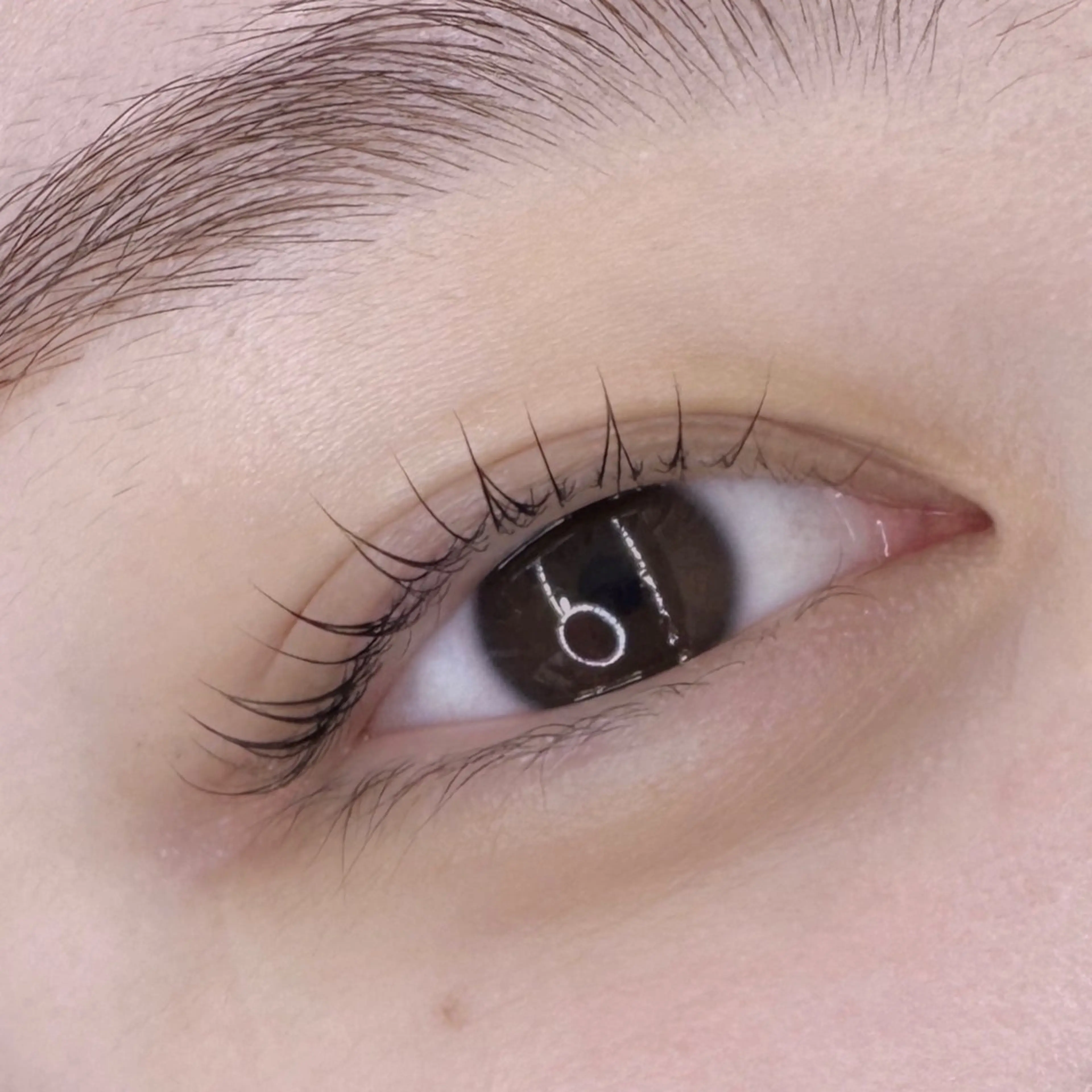 マツエク・マツパ Muguet Kaoriのマツエク・マツパデザイン