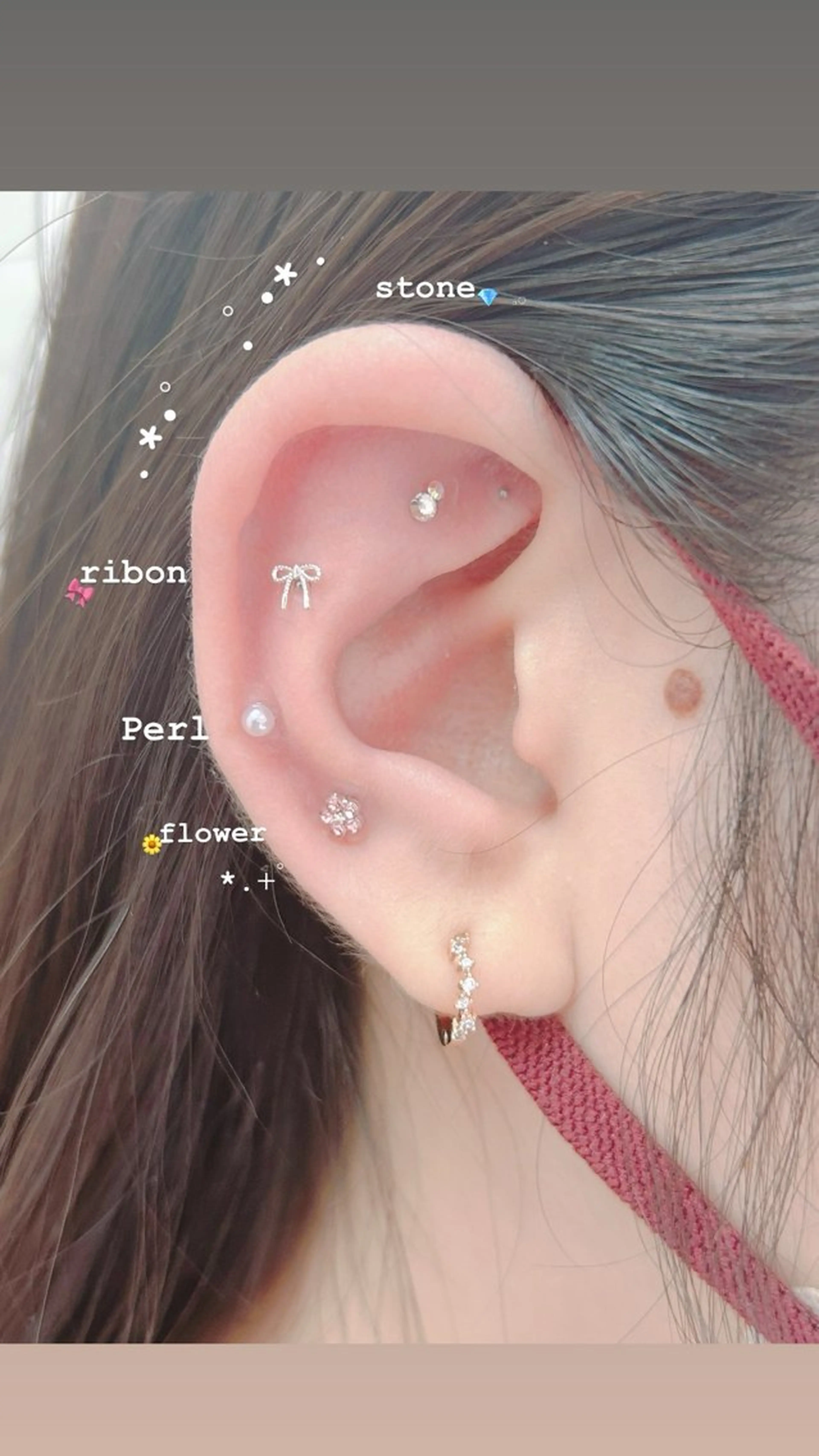 耳つぼ👂シンプル両耳12個まで🐹🧡の写真