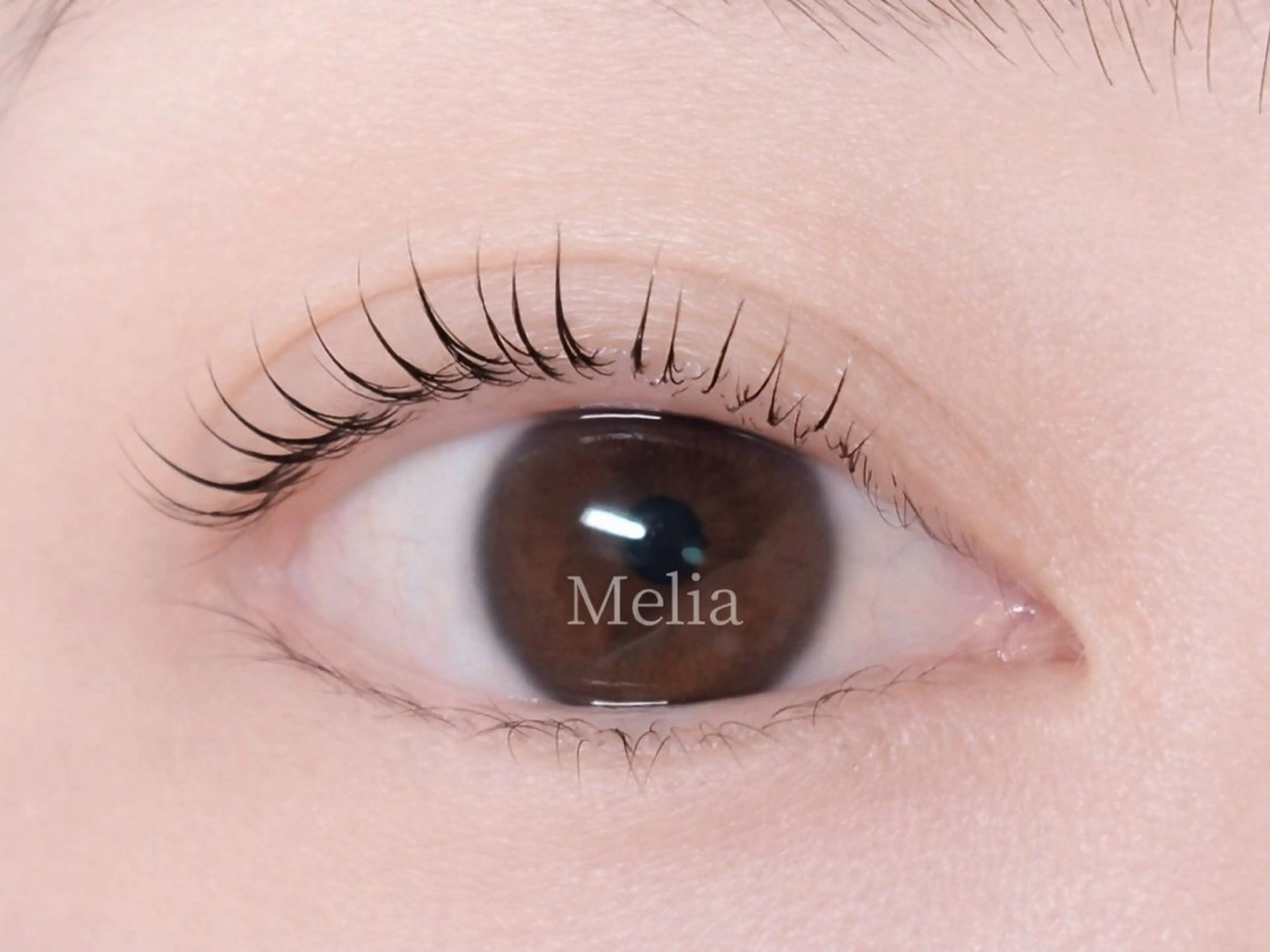 マツエク・マツパ Melia Chieのマツエク・マツパデザイン