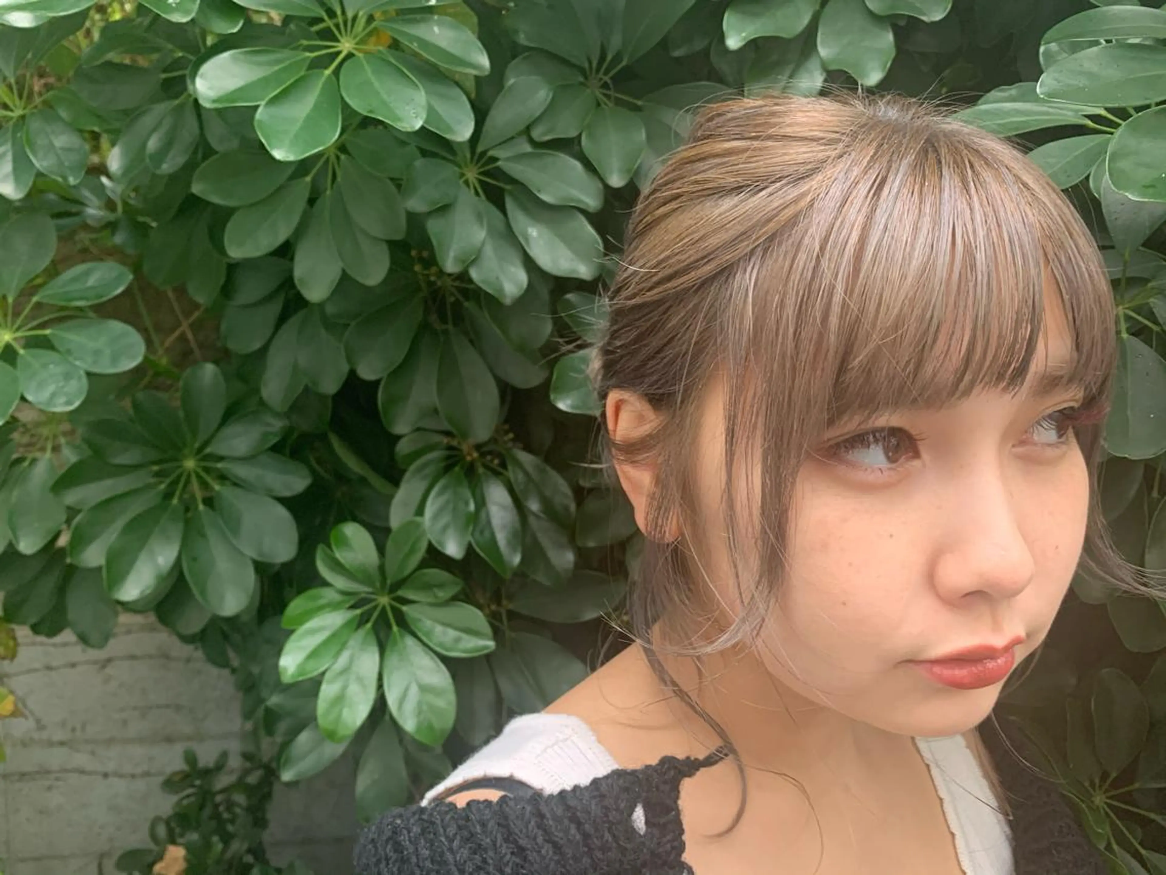 【minimo限定価格🌼】フラットラッシュ✨80本の写真