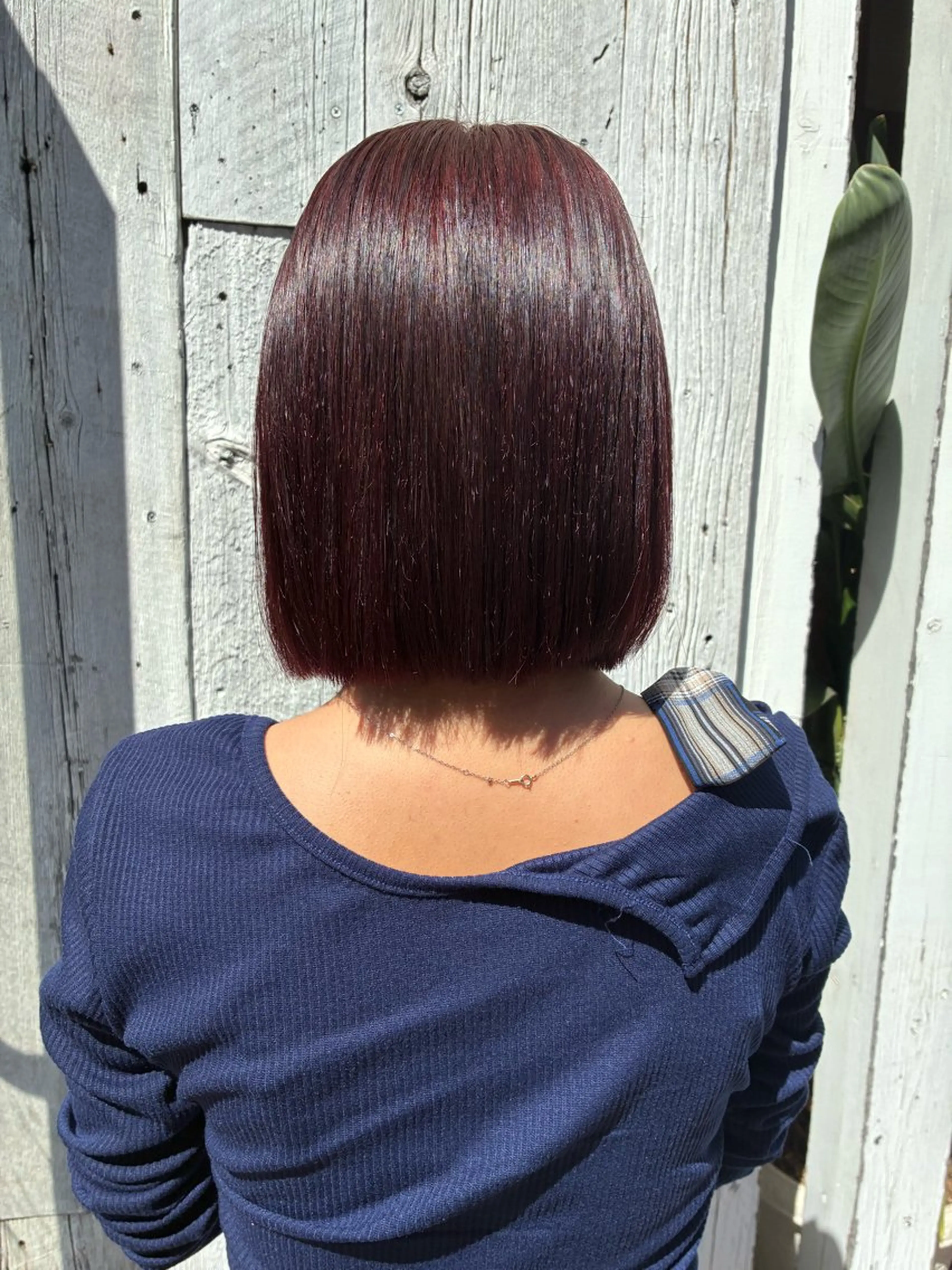 ショート カラー 久保 泰都のヘアスタイル