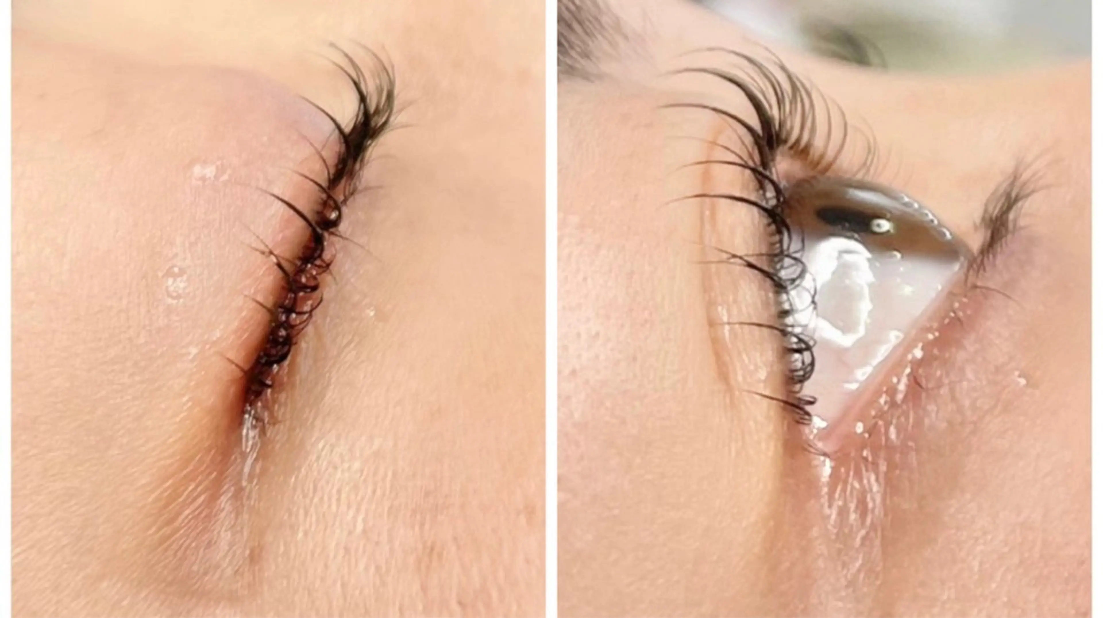 マツエク・マツパ マツパ 髪/まつげ/眉/毛穴 ハーブ/他/AIKOのその他イメージ