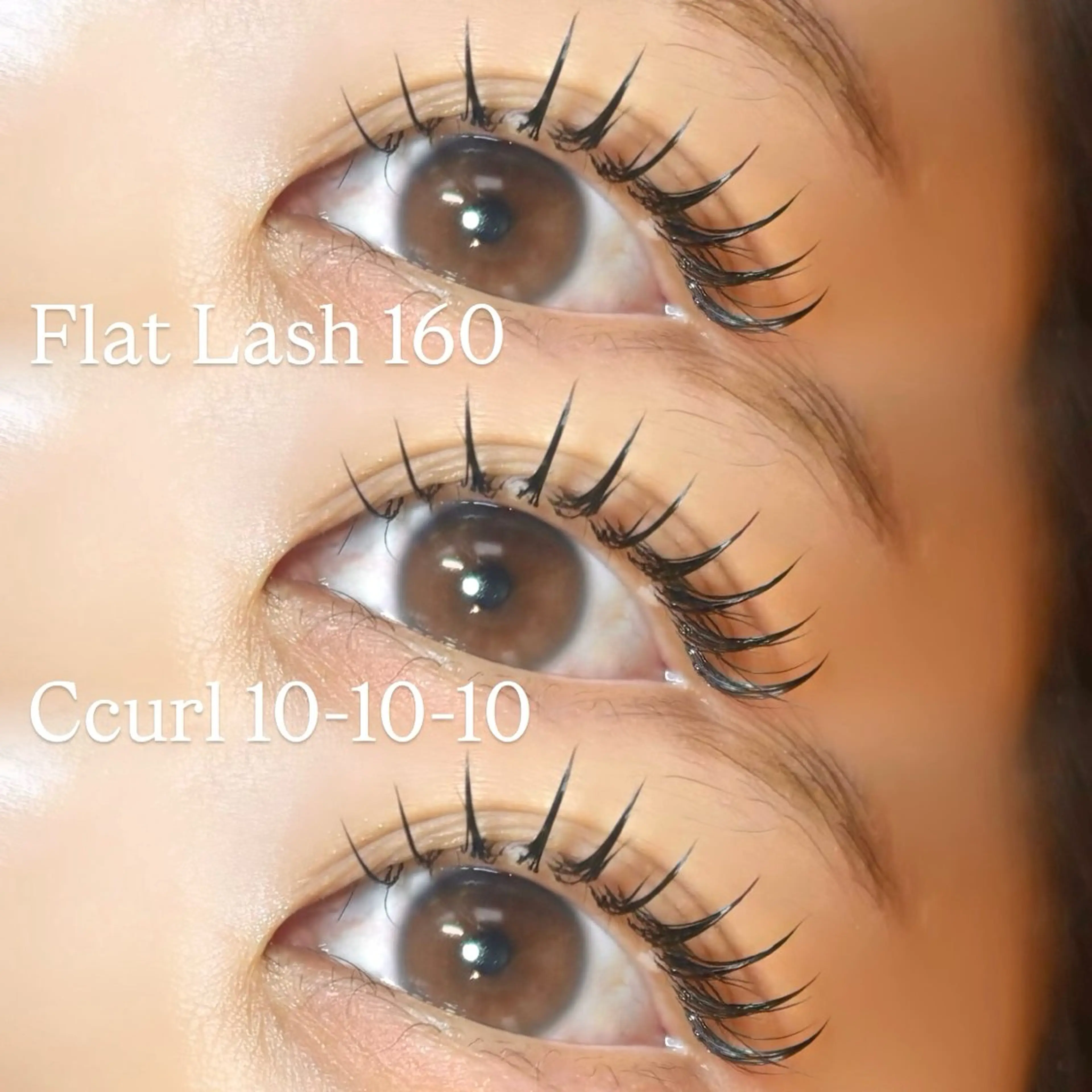 マツエク・マツパ フラットラッシュ 束感/LED/まつパ 🌼segawaのマツエク・マツパデザイン