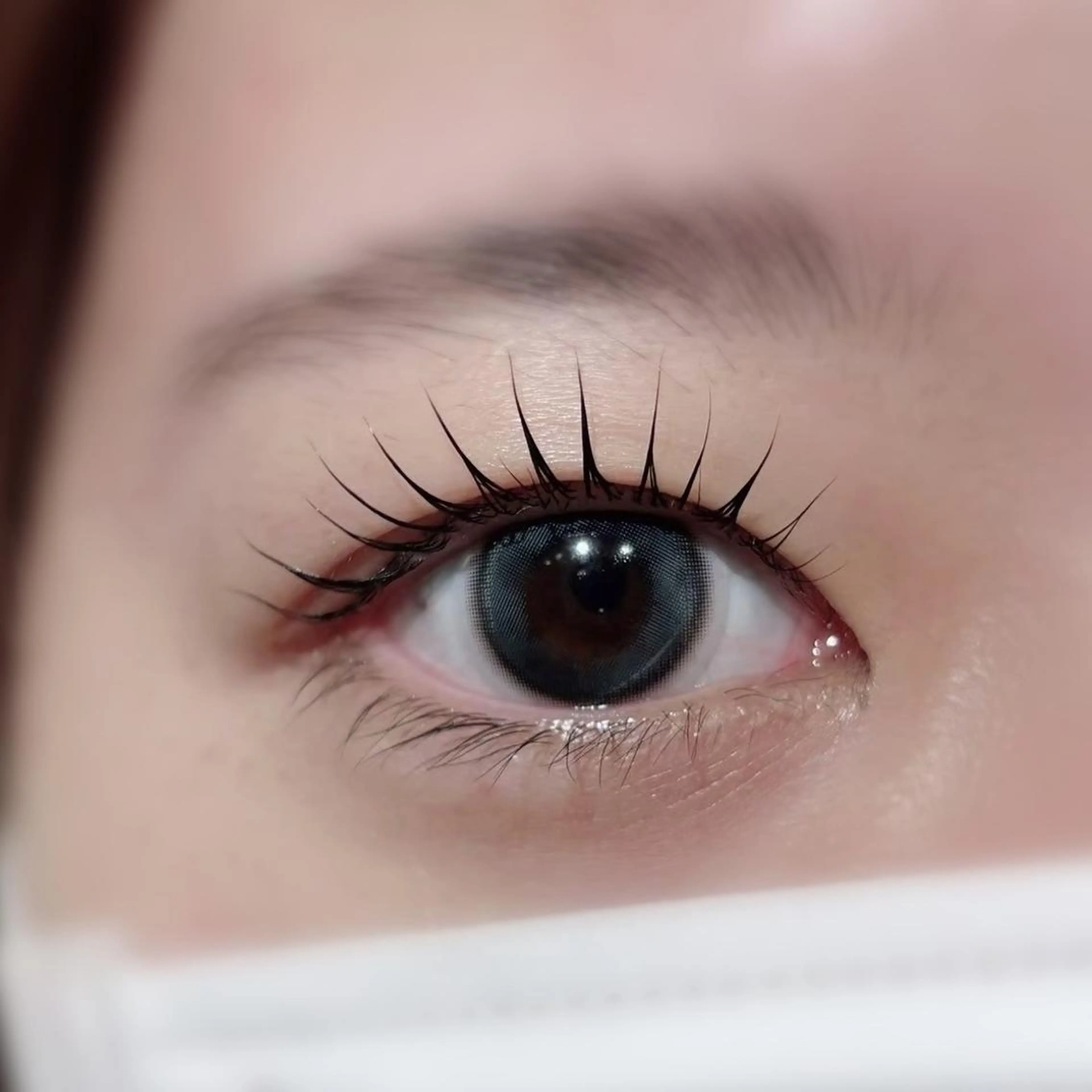 マツエク・マツパ バインドロック フラットラッシュ パリジェンヌラッシュリフト まつげパーマ 一重×まつ毛パーマ マツパ Biolus／天王寺 ２号店 Natumiのマツエク・マツパデザイン