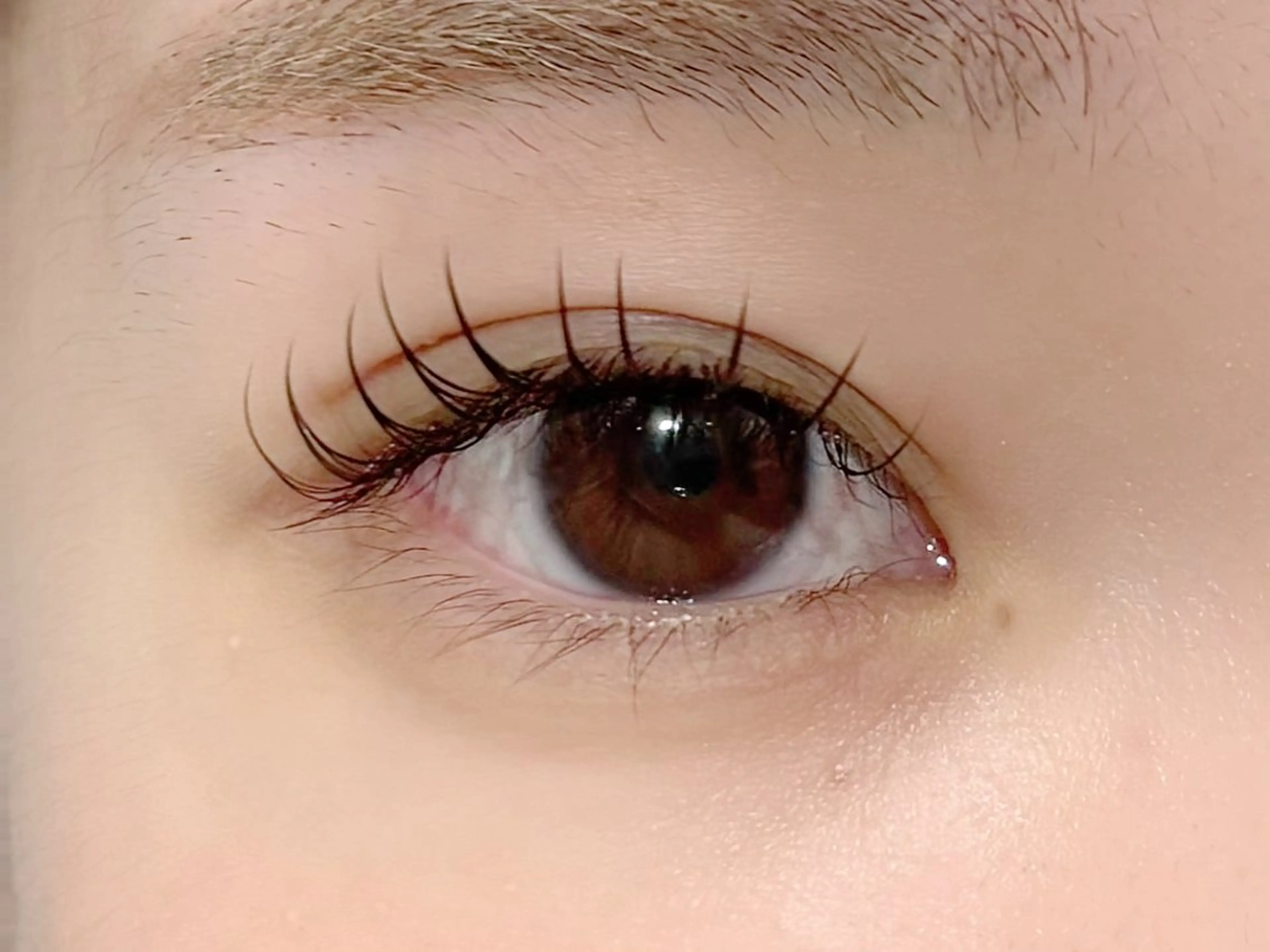 マツエク・マツパ SalonEF🌿 Hamachiのマツエク・マツパデザイン