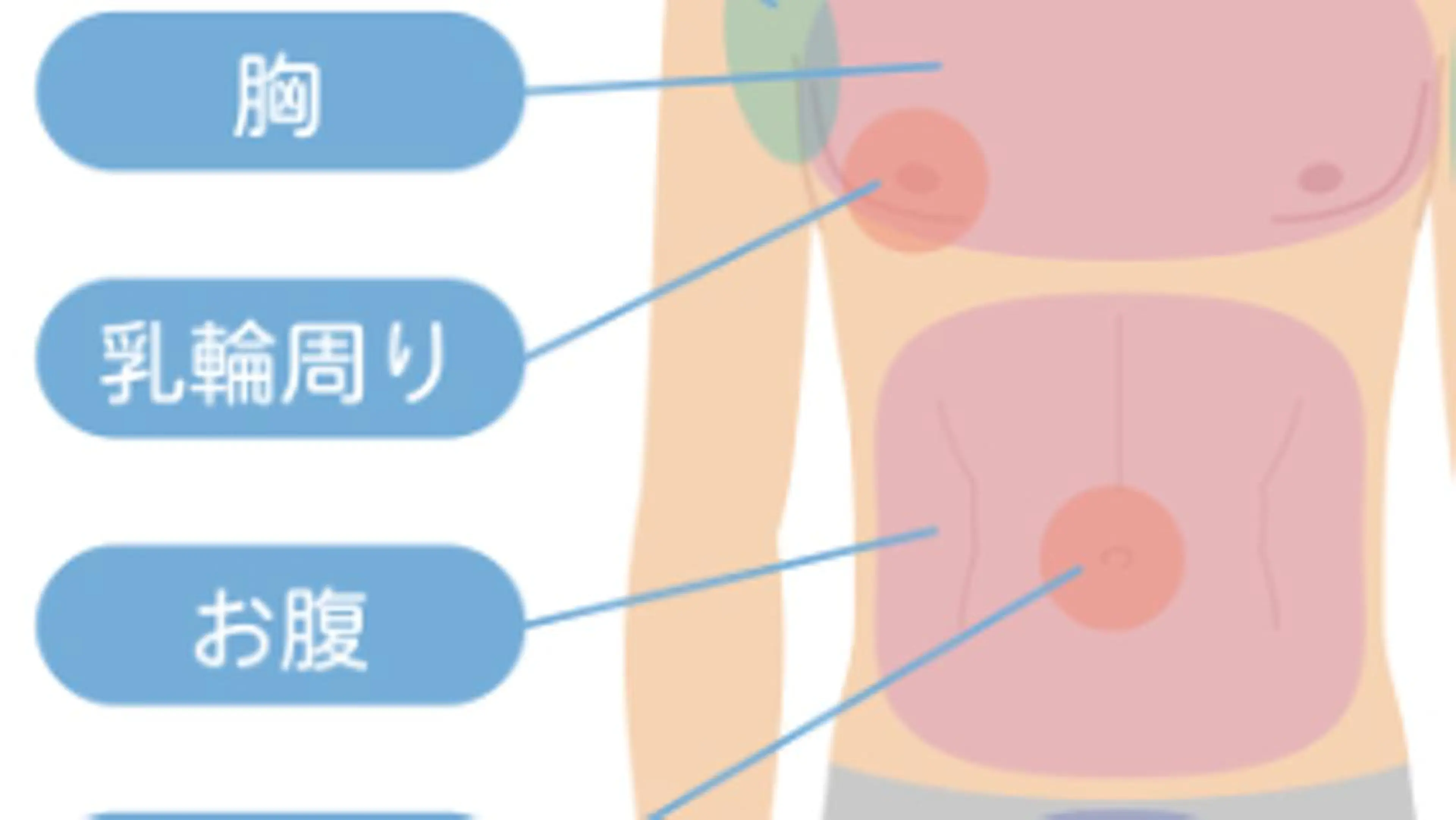 メンズ メンズ脱毛BOSS  岡崎店所属・メンズ脱毛BOSS 岡崎店のエステ・リラクイメージ