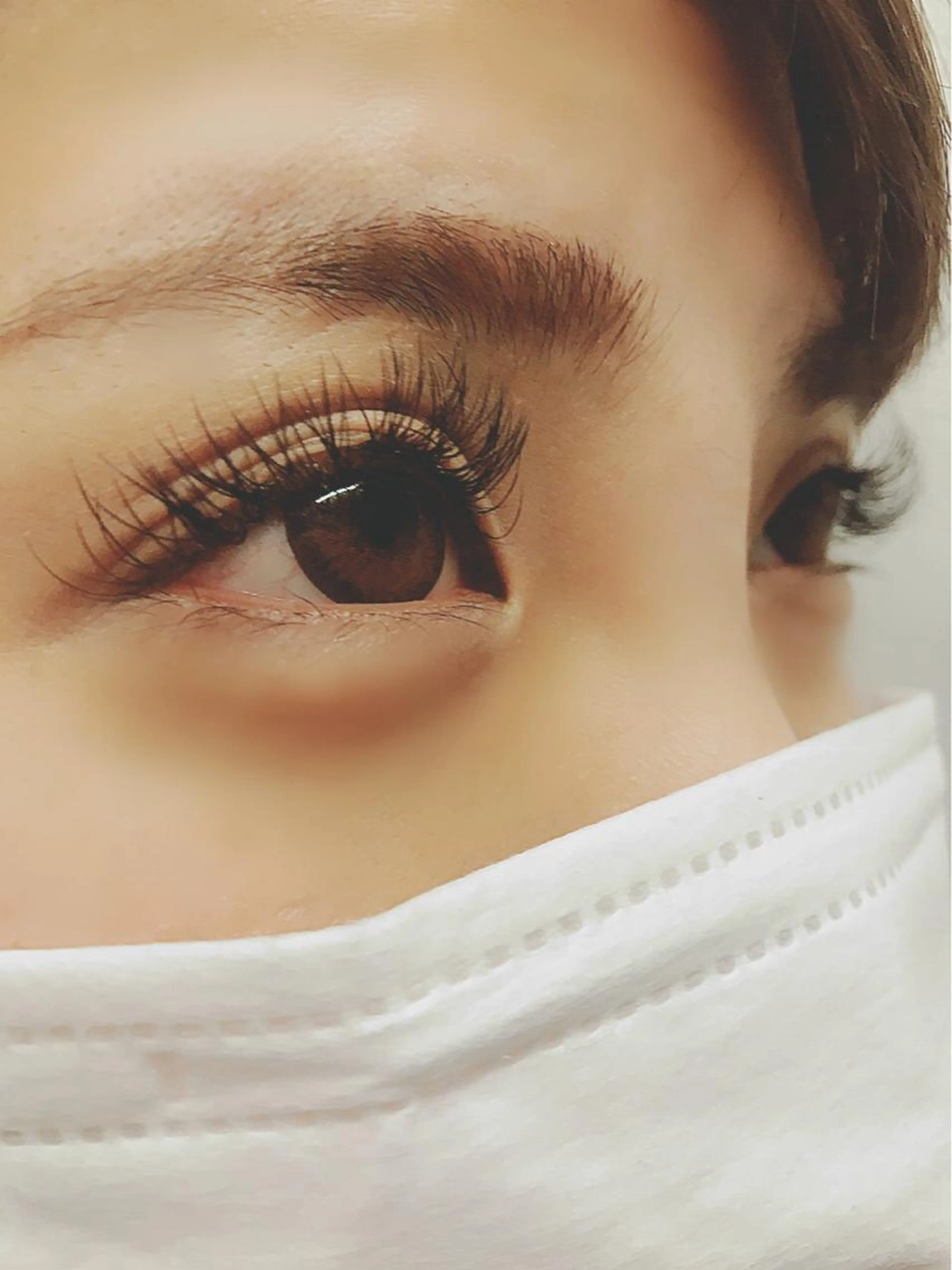 フラットラッシュ160本の写真