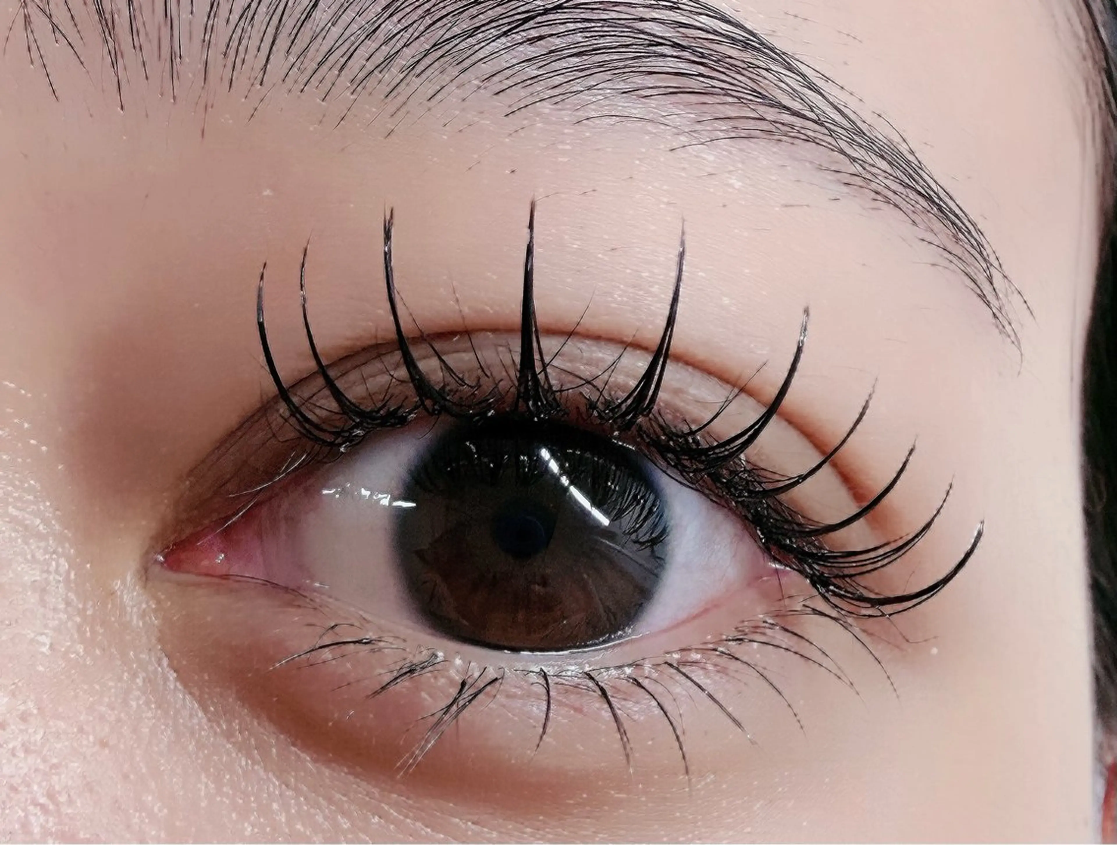 マツエク・マツパ フラットラッシュ マツエク ルチア💞 lucia高田馬場のマツエク・マツパデザイン