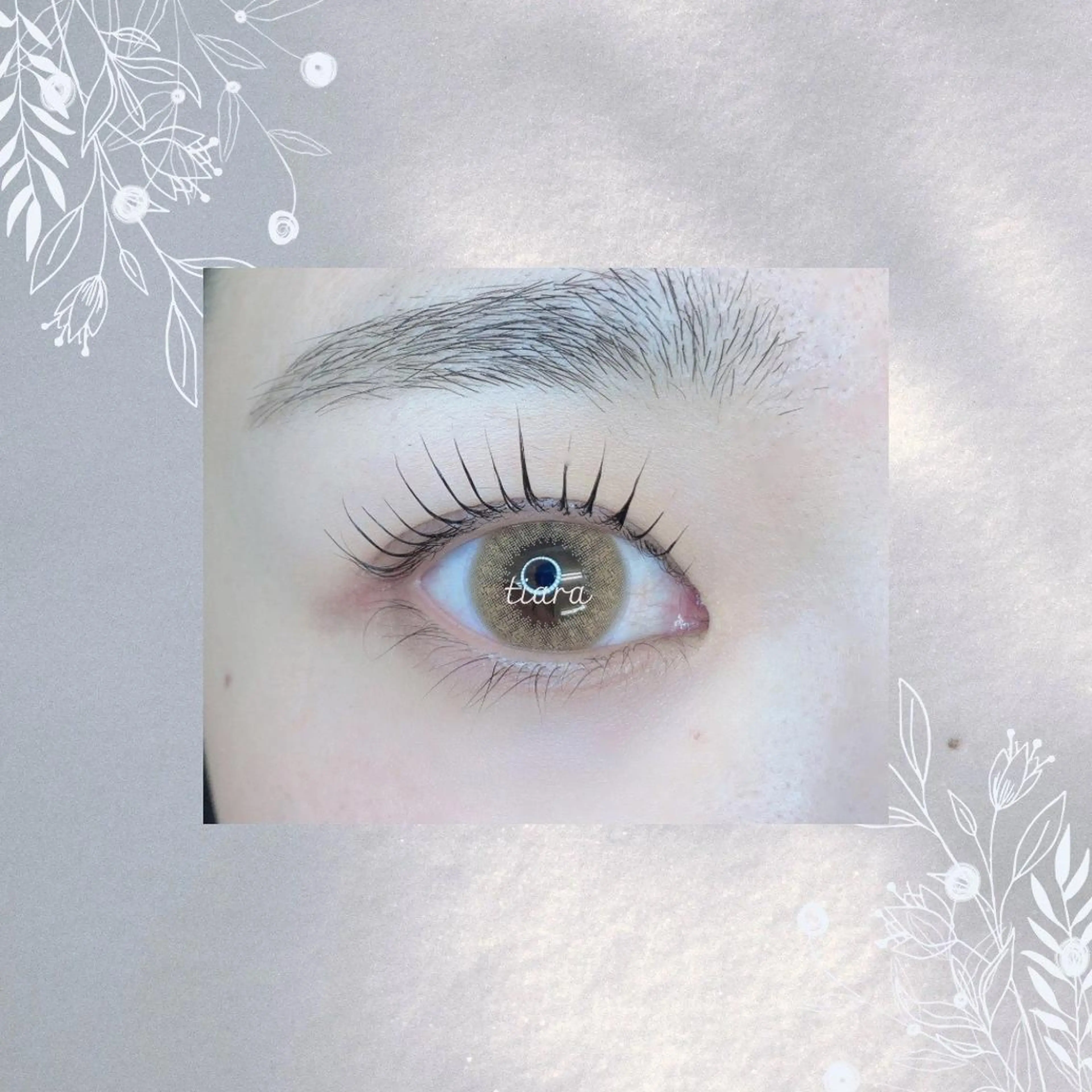 本日限定‼️【口コミ投稿】選べるラッシュリフトの写真