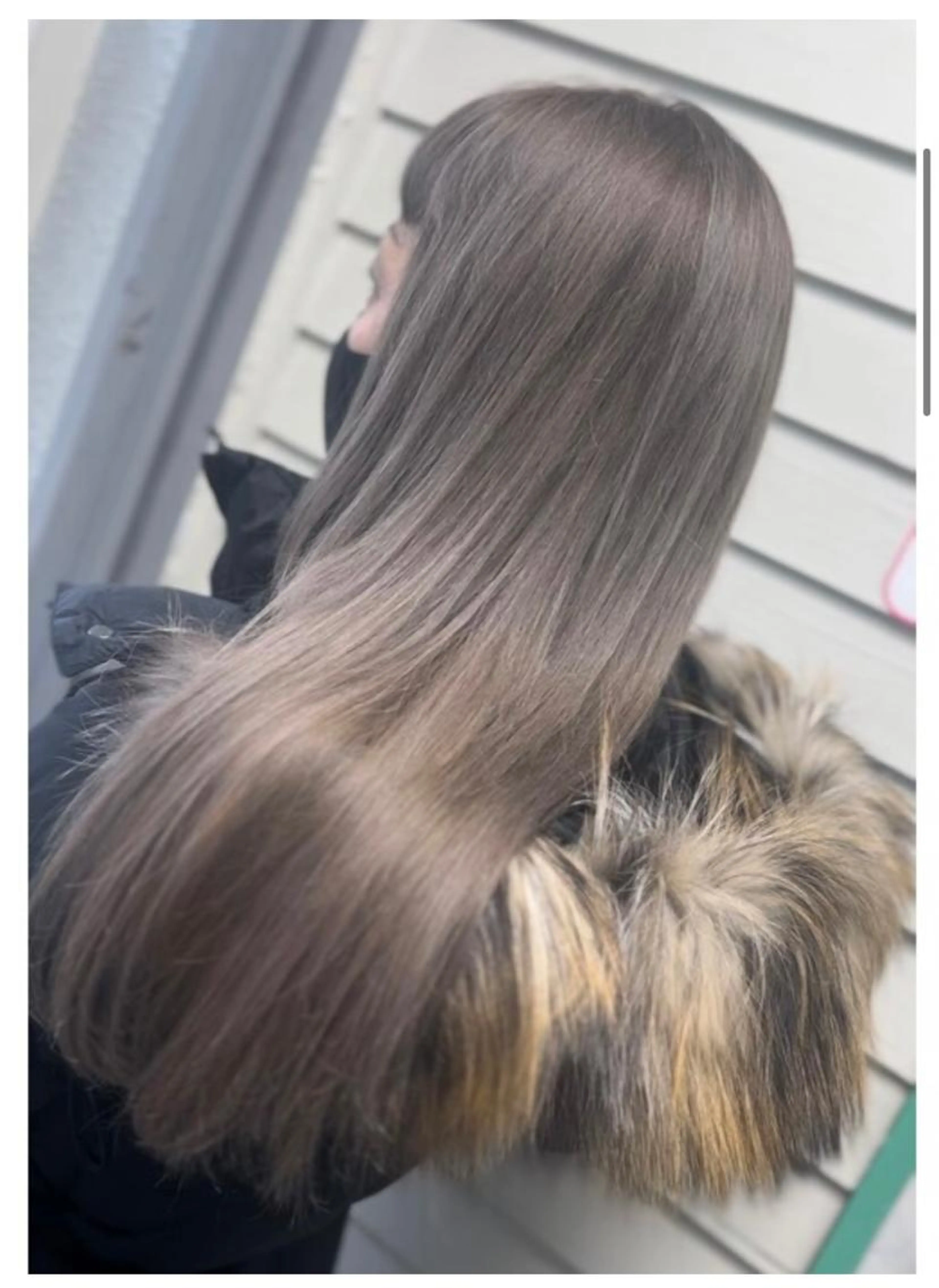 透明感カラー×ダブルカラー　10450〜の写真