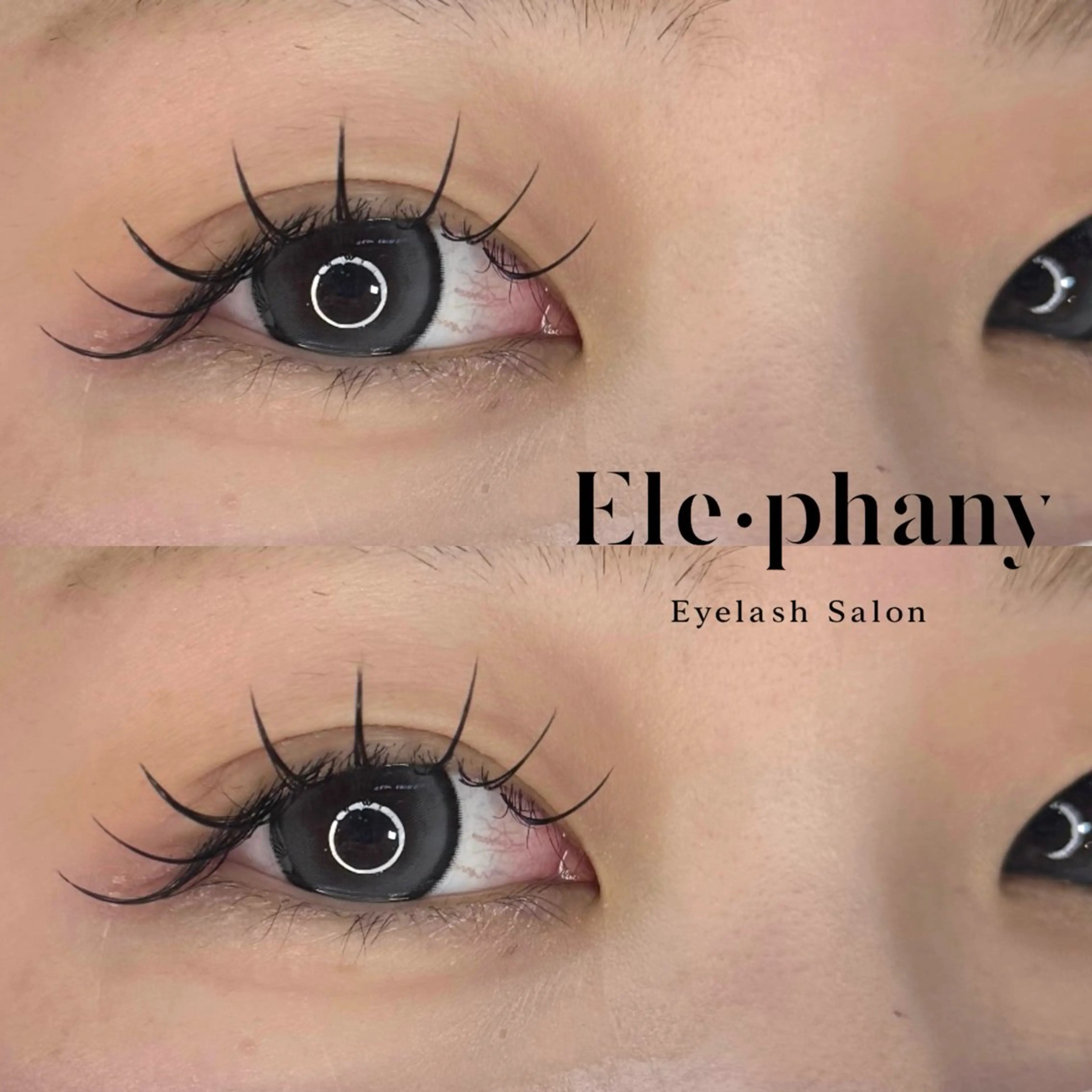マツエク・マツパ Cカール Ele・phany / seiraのマツエク・マツパデザイン