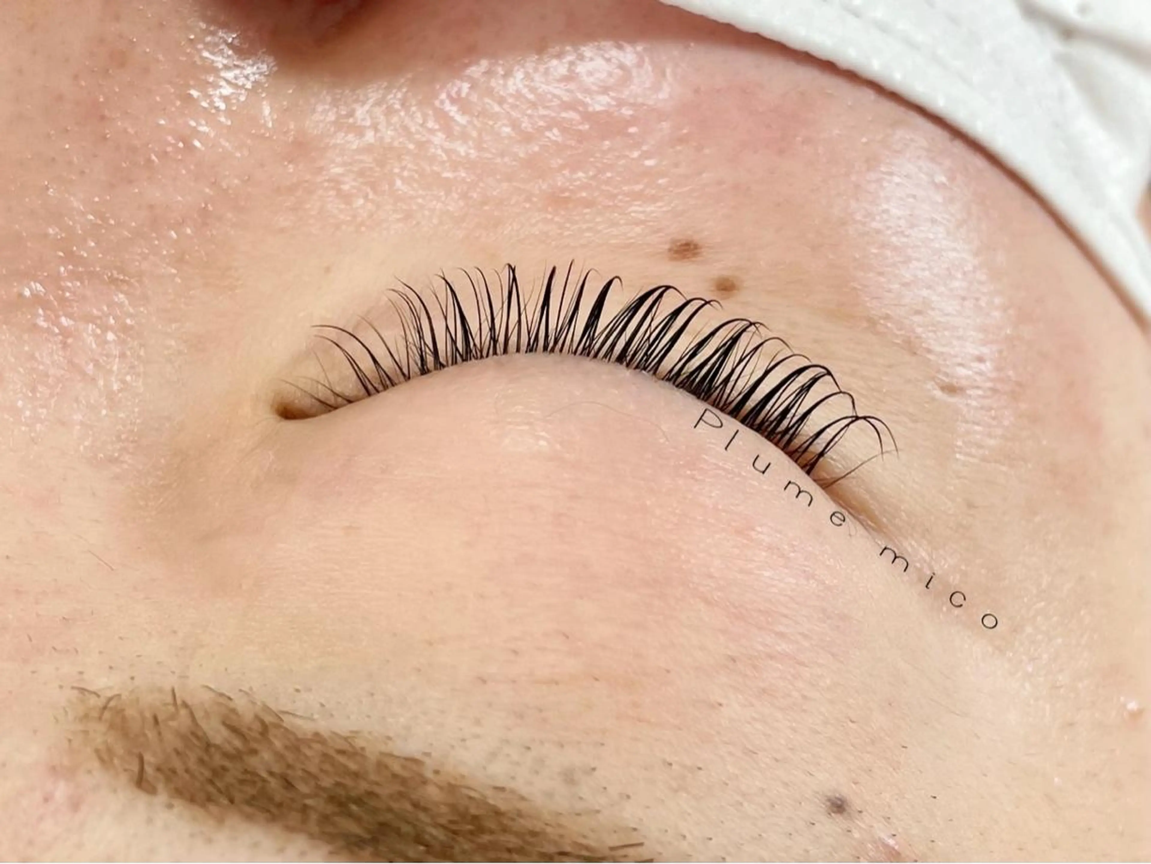 マツエク・マツパ マツパ Plume micoのマツエク・マツパデザイン