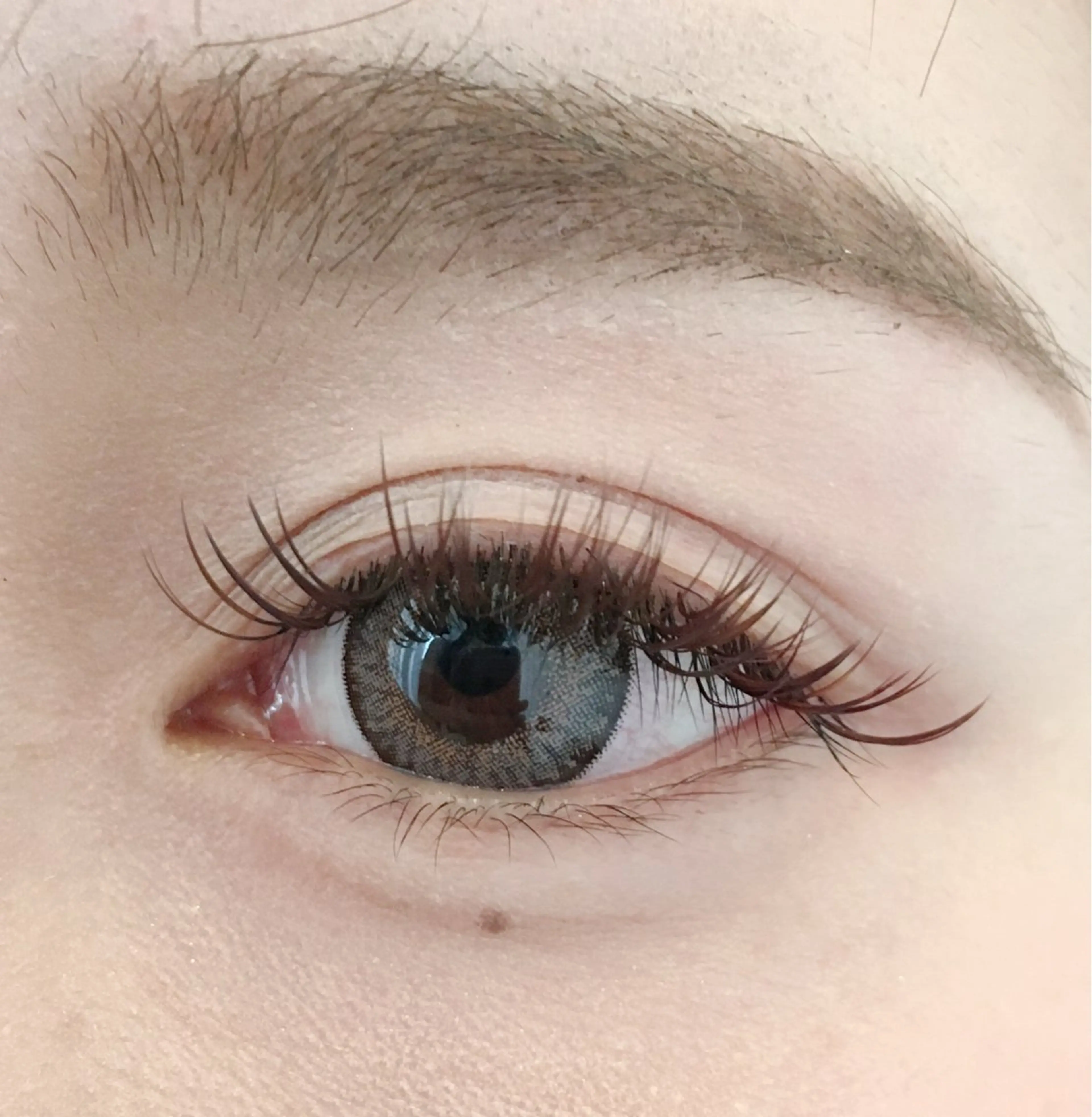 オフ込　フラット全カラーエクステ　140本の写真