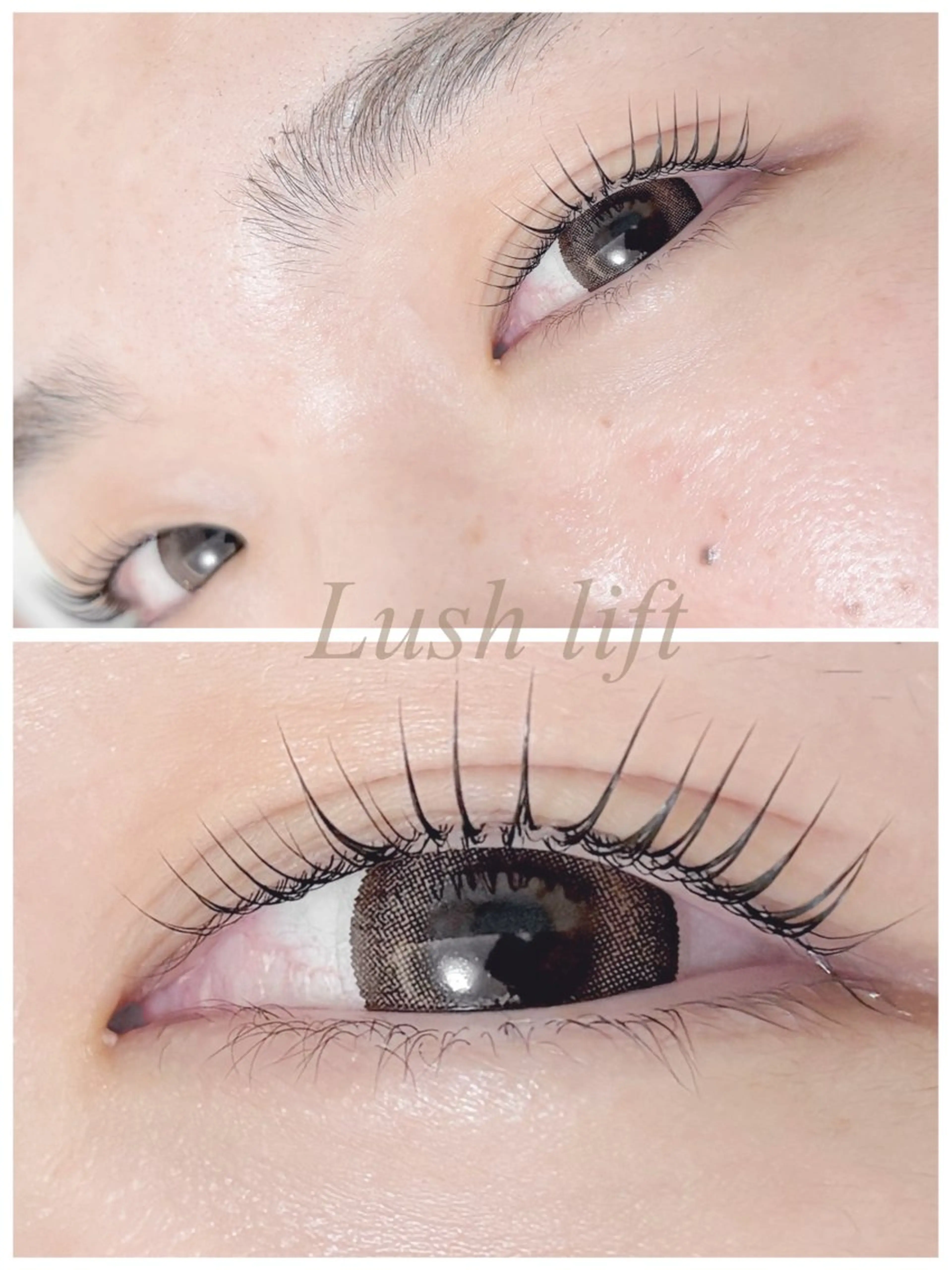 【人気No.1👑】新規限定価格!!目力up✨持続力抜群✨大人気まつげパーマ¥6600⇒¥4400💟の写真