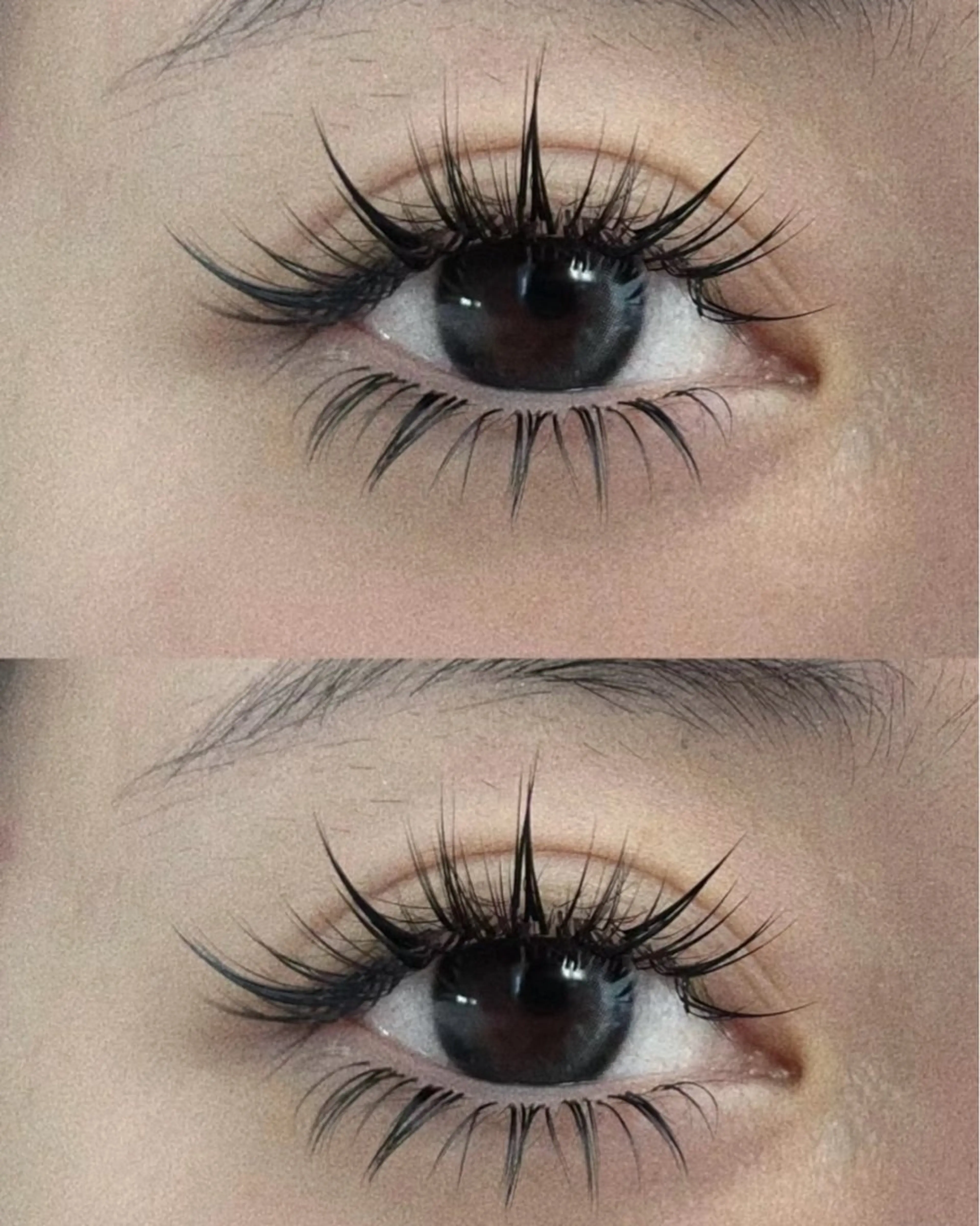 「Lカールフラットマットラッシュ」新登場Lカールフラットラッシュ120本+コーティングの写真