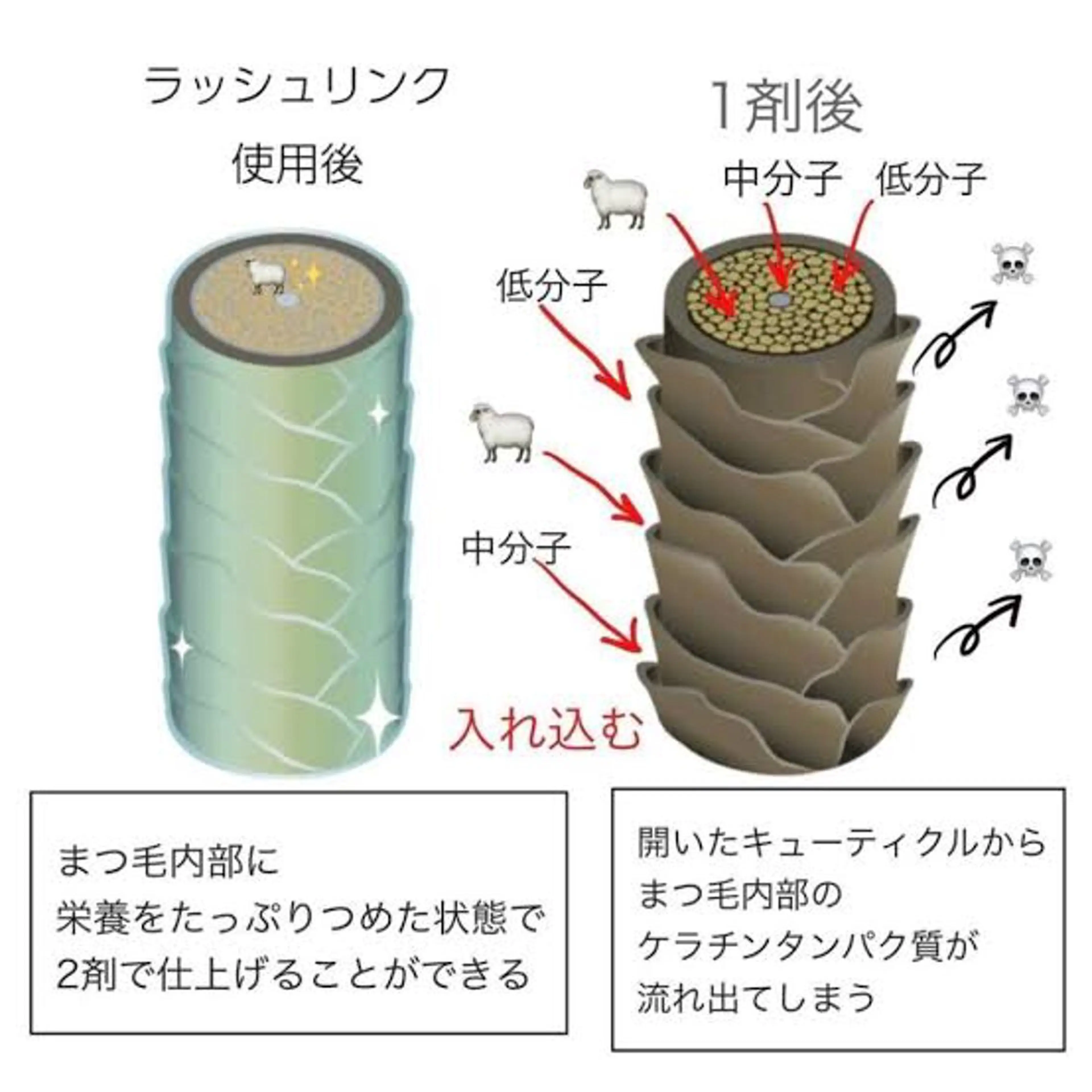 マツエク・マツパ ケラチンラッシュリフト マツパ Fave【フェイブ】 まつパ/眉毛/メンズの眉毛・アイブロウイメージ