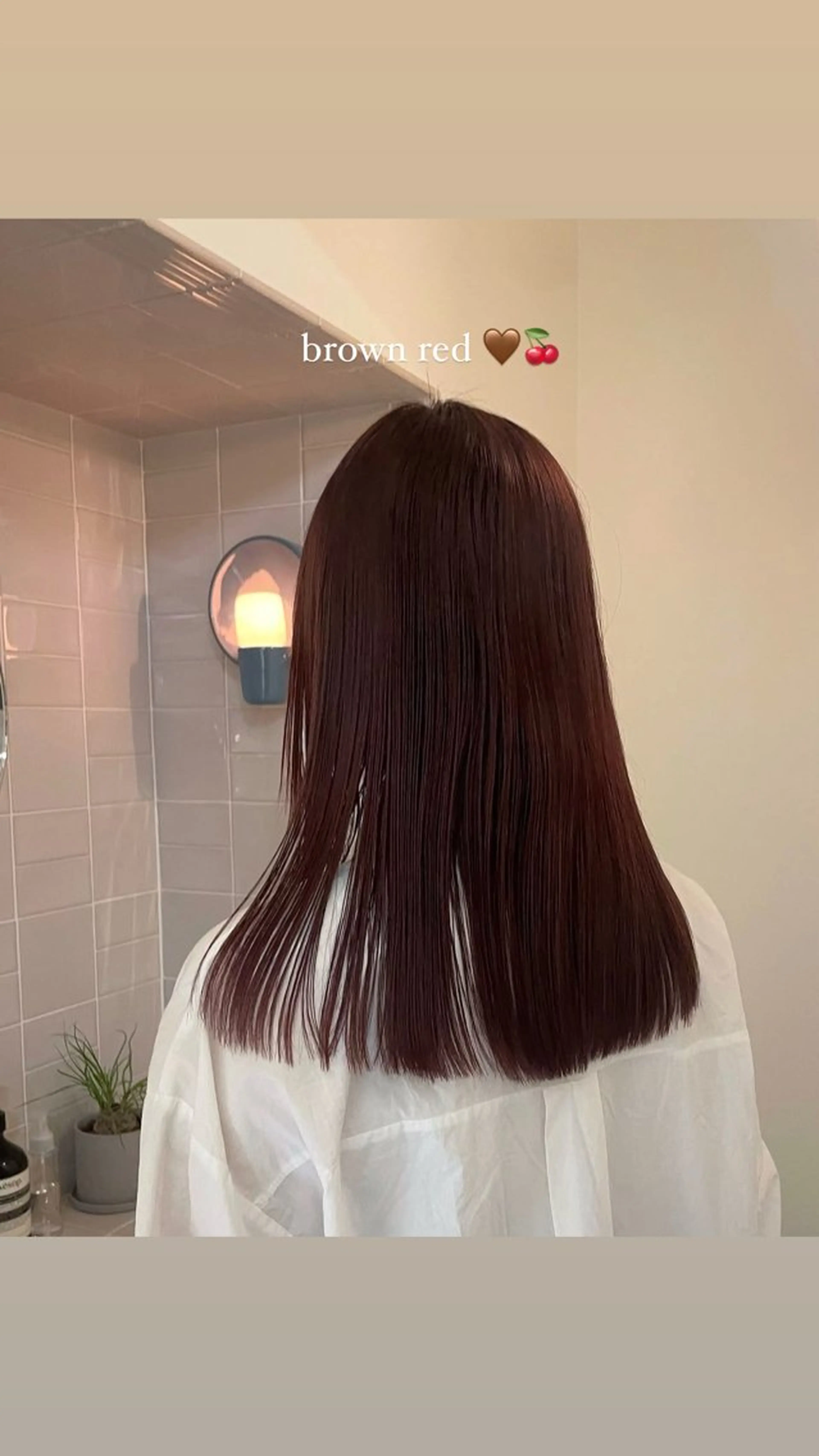 カラー ブラウンカラー レッドカラー 蓑輪璃央 ミディアムレイヤーのヘアスタイル