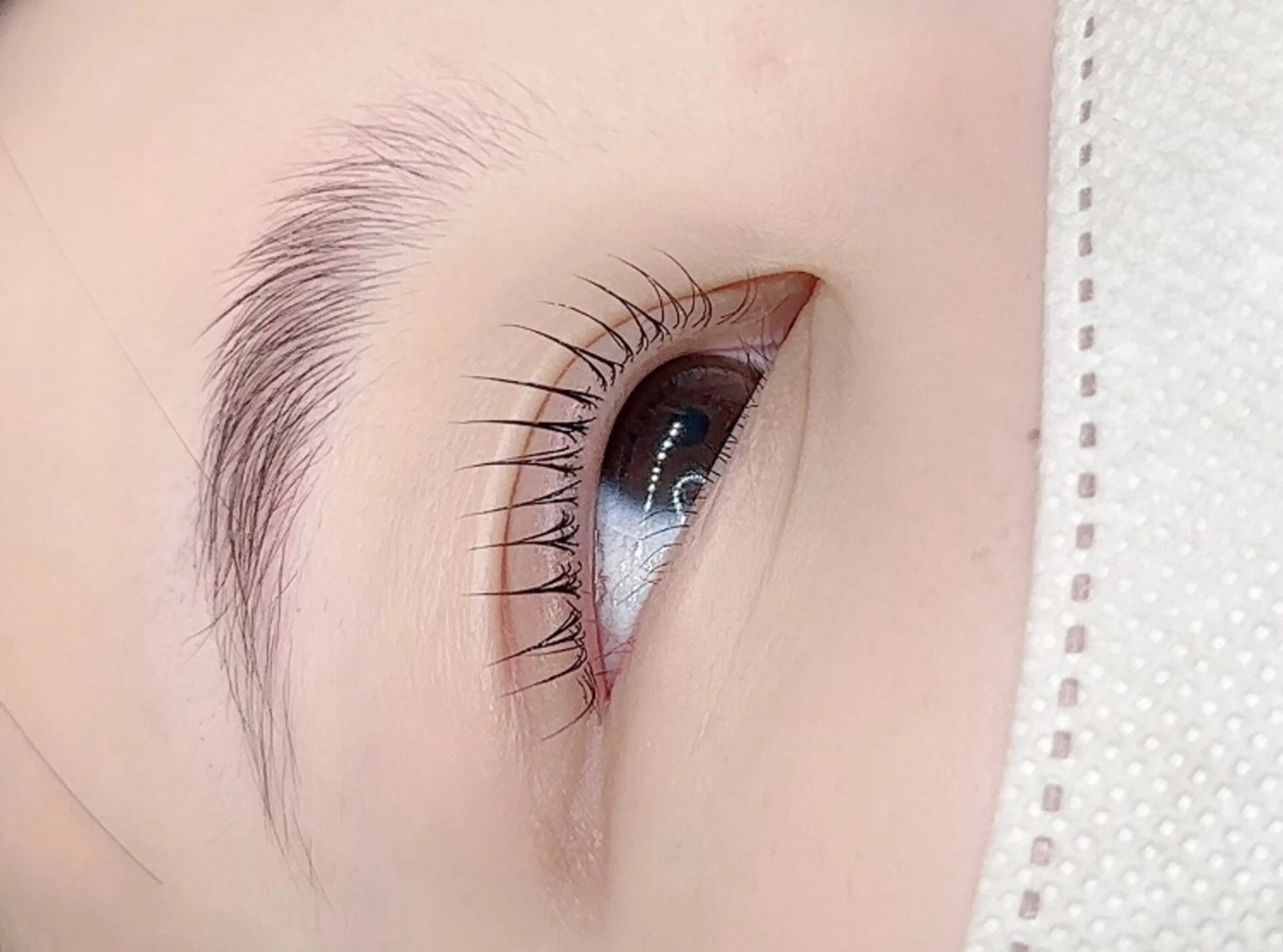 🌈ケラチンラッシュリフト上🌈トリートメント付き🉐3500 ☆平日16時30以降土祝日＋300円の写真