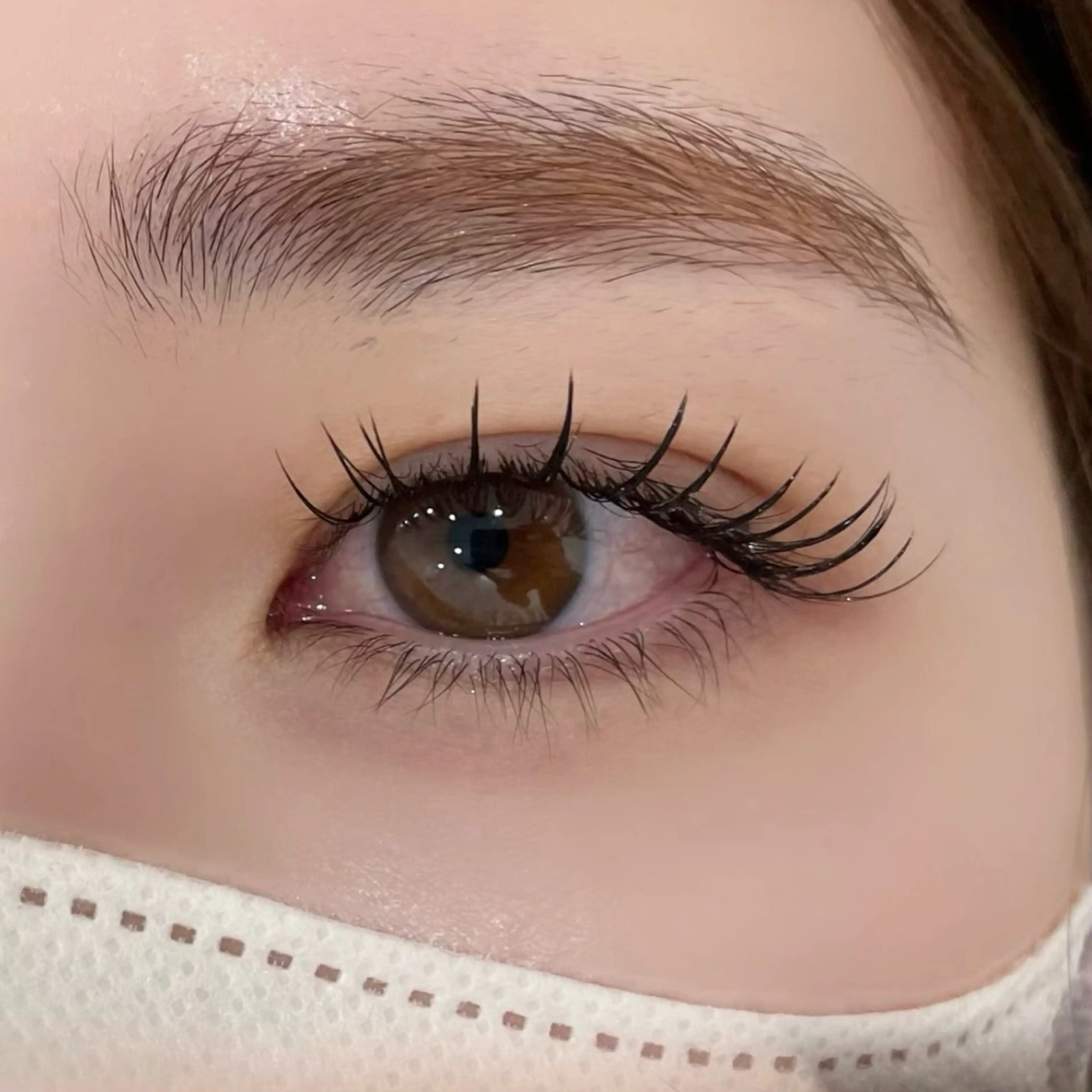 🌷フラット100本(オフ込み)🌷の写真