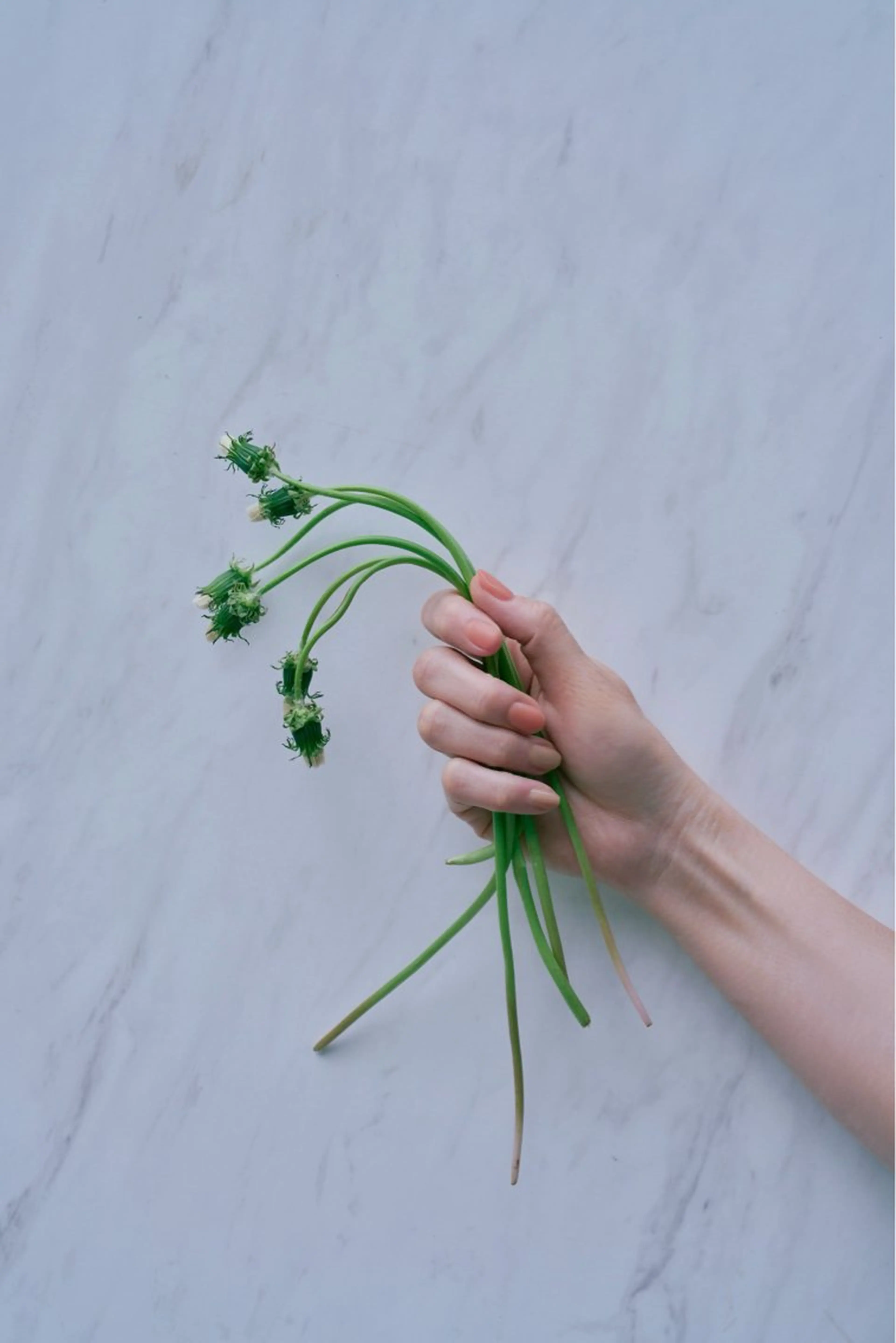 ネイル ANRY NAILSのネイルデザイン