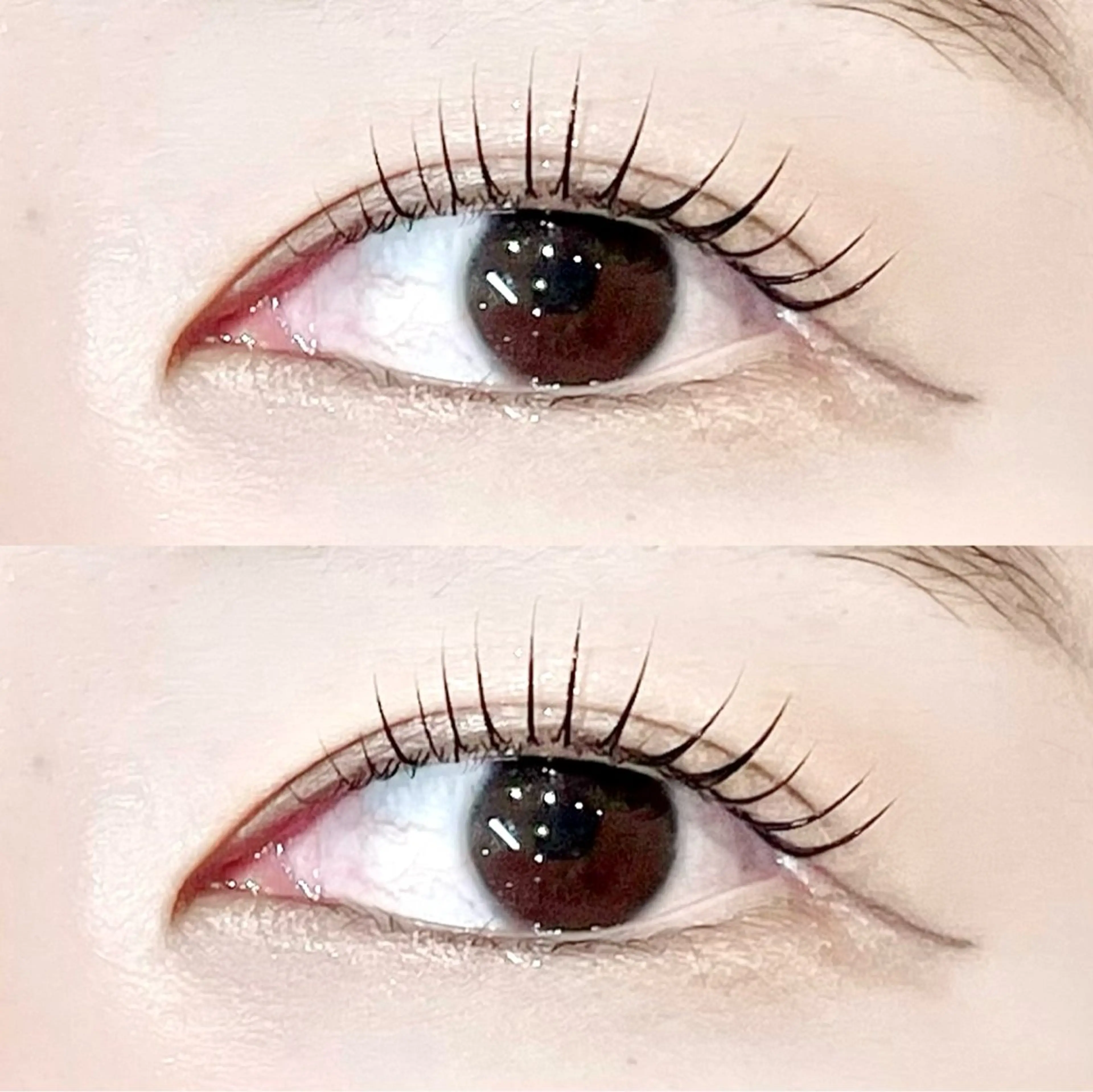 【マスカラパーマ】韓国式★ブラックティントまつ毛パーマの写真