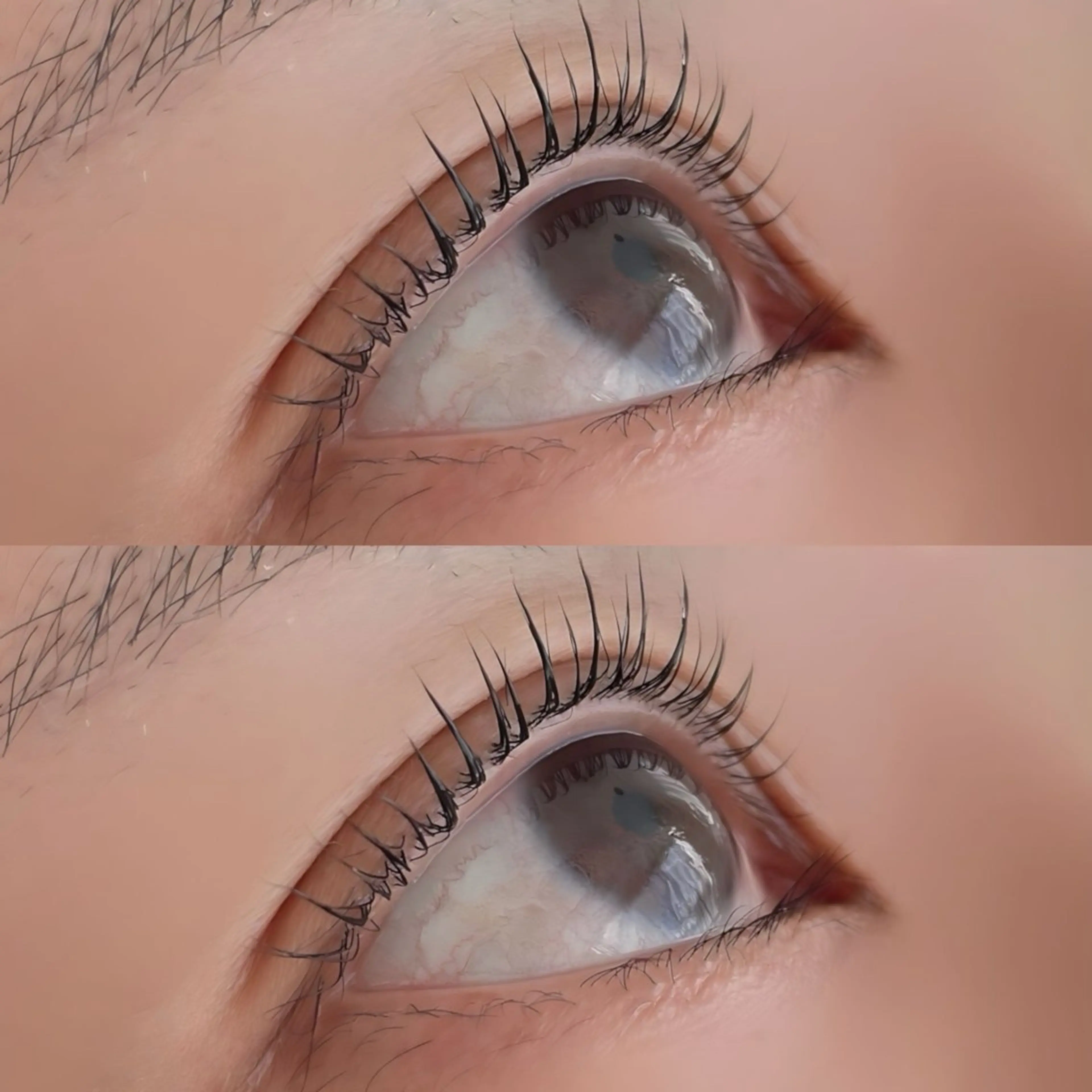 何度でも同価格【まつ毛パーマ】の写真