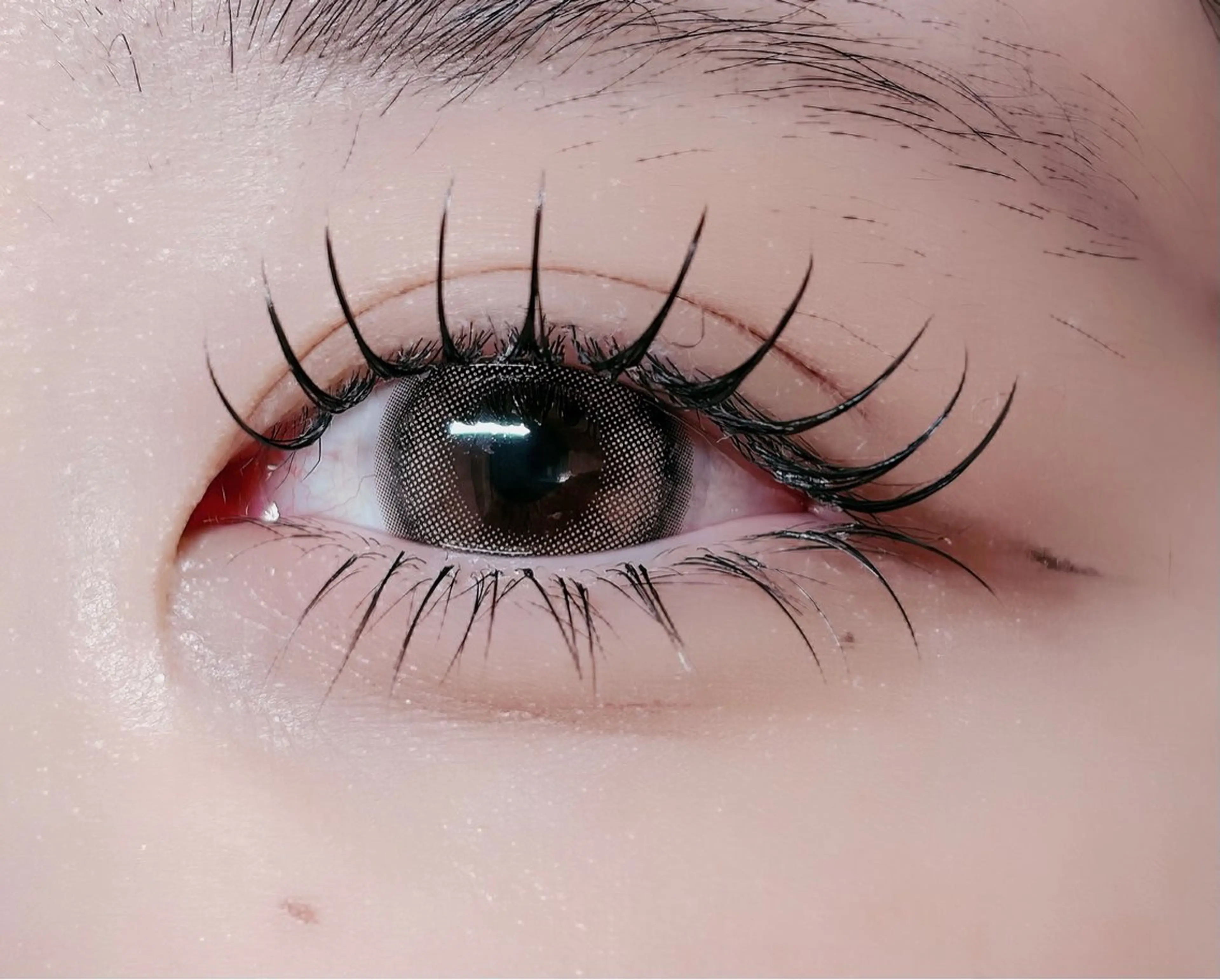 マツエク・マツパ フラットラッシュ マツパ ルチア💞 lucia高田馬場のマツエク・マツパデザイン