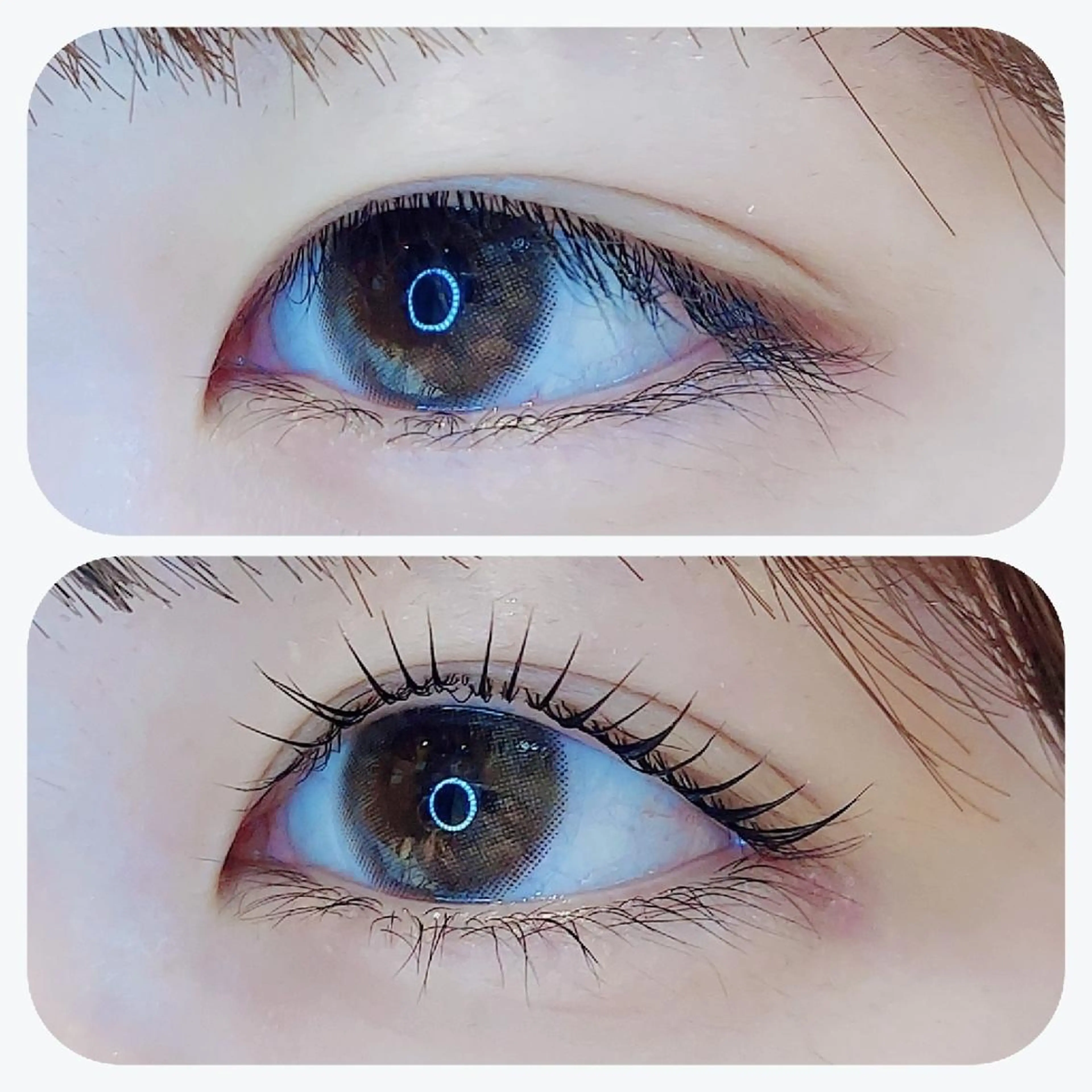 マツエク・マツパ eyelash  Recona のマツエク・マツパデザイン