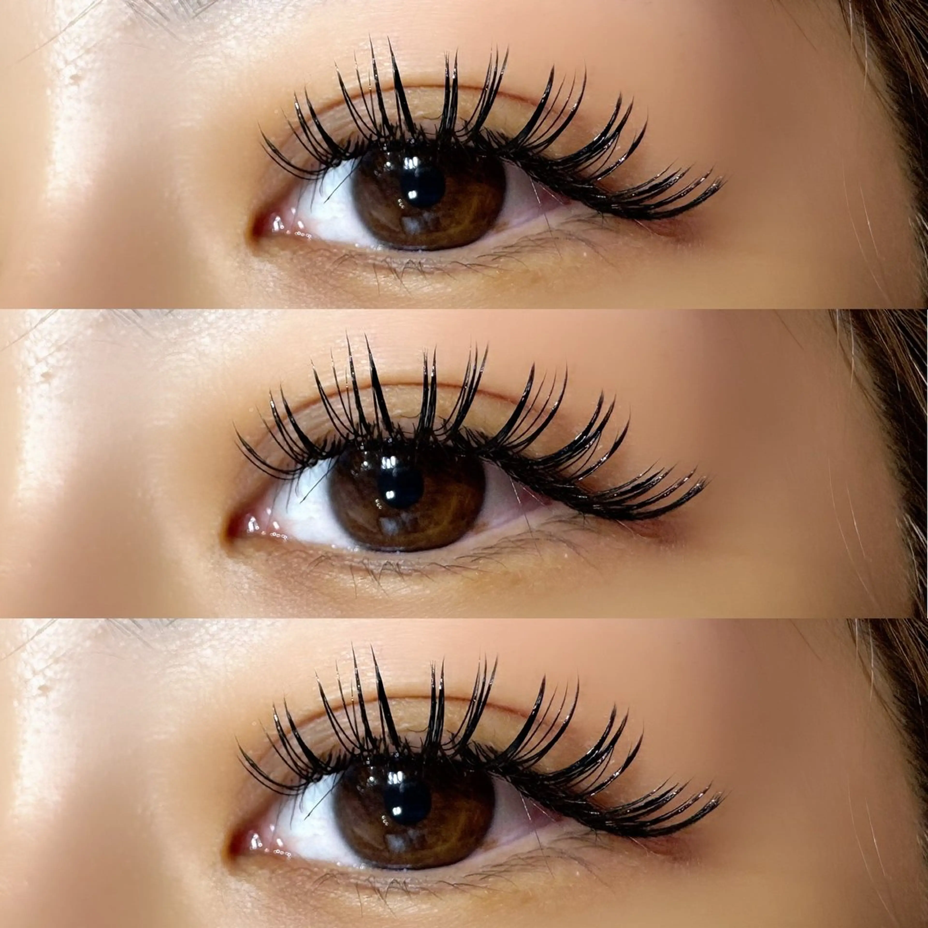 ✴︎ダブルフラットラッシュ120束✴︎の写真