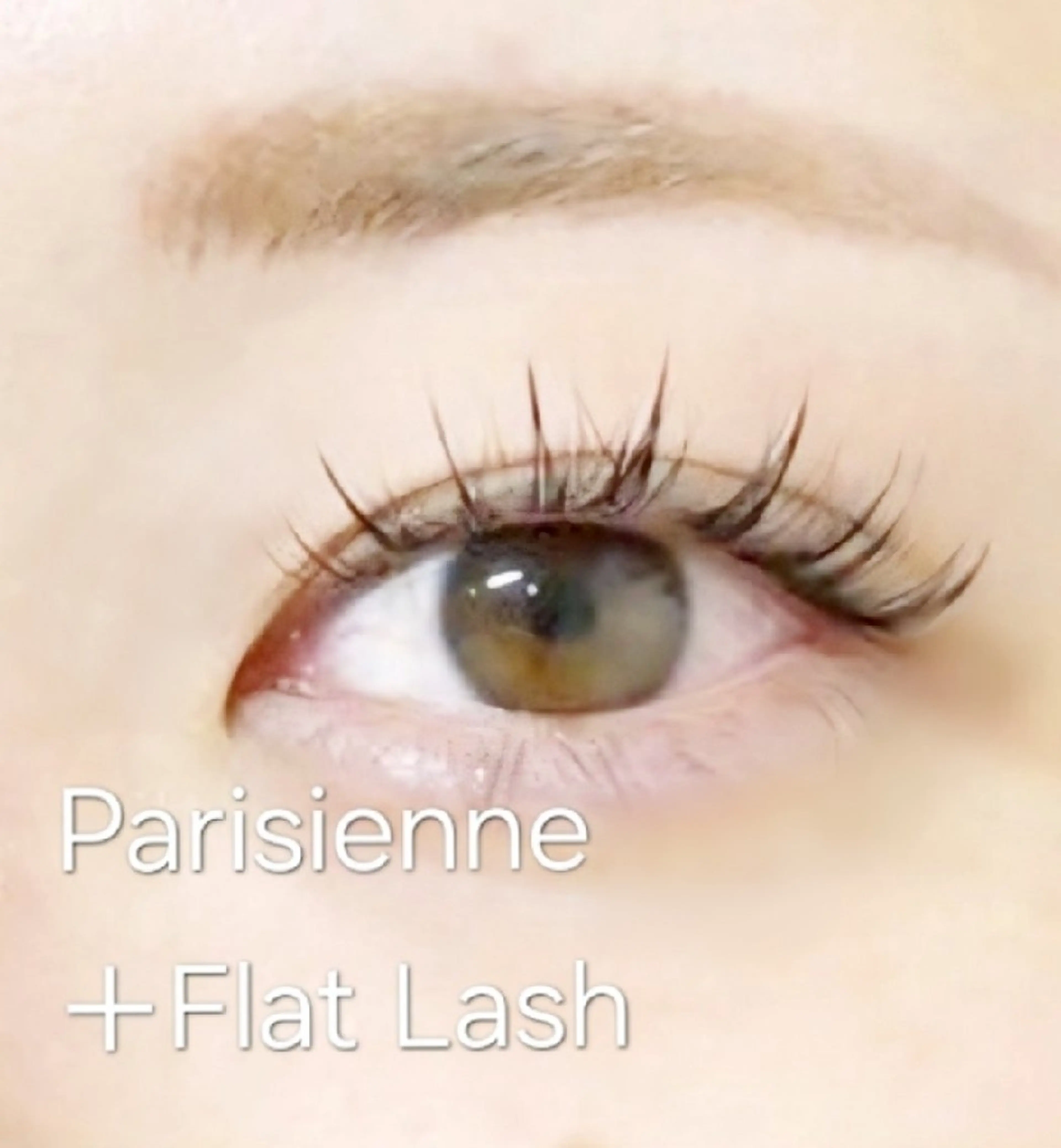 マツエク・マツパ マツエク eyelash R𓇼eri🐈️の眉毛・アイブロウイメージ