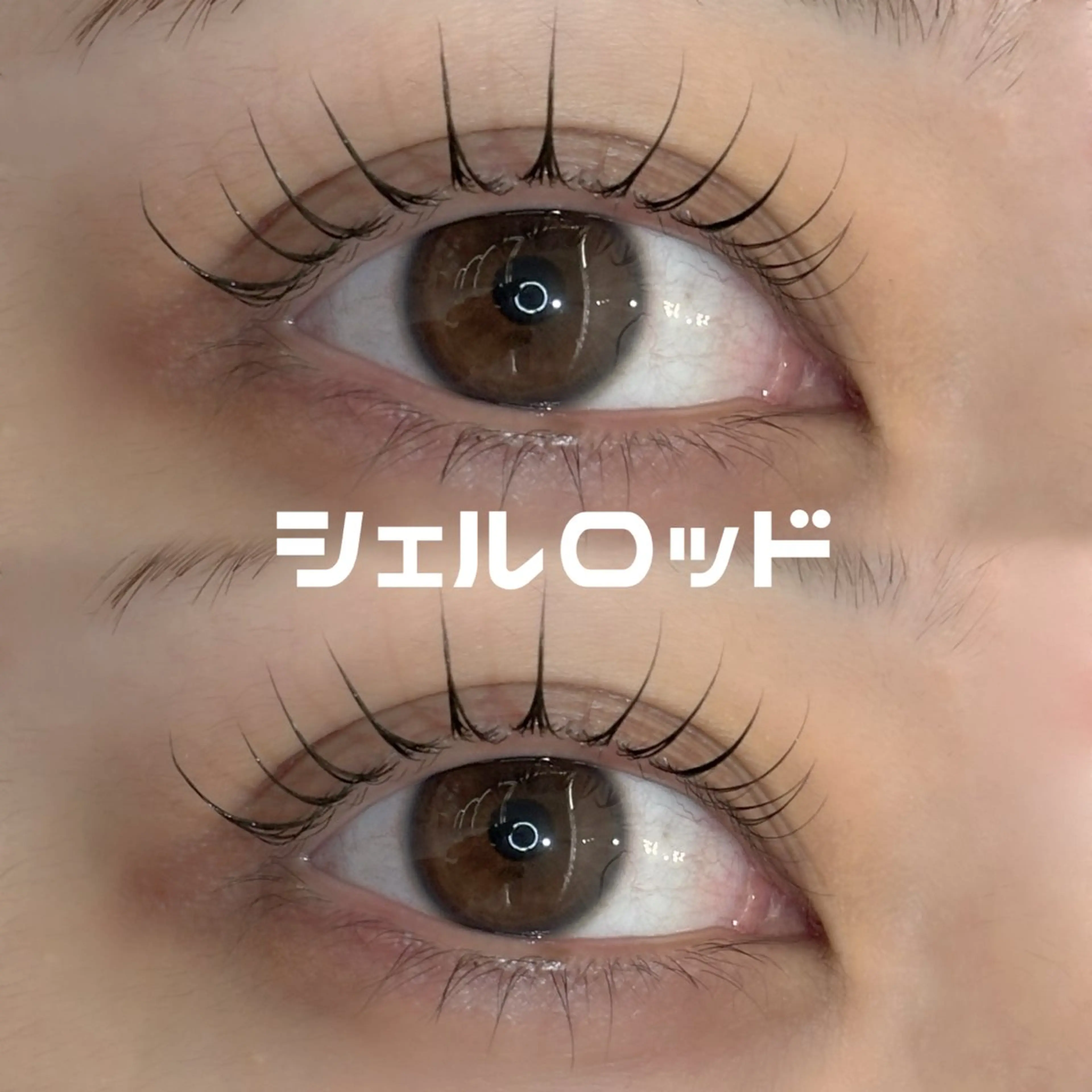 マツエク・マツパ 韓国風マツエク マツパ EYELA さくまのマツエク・マツパデザイン