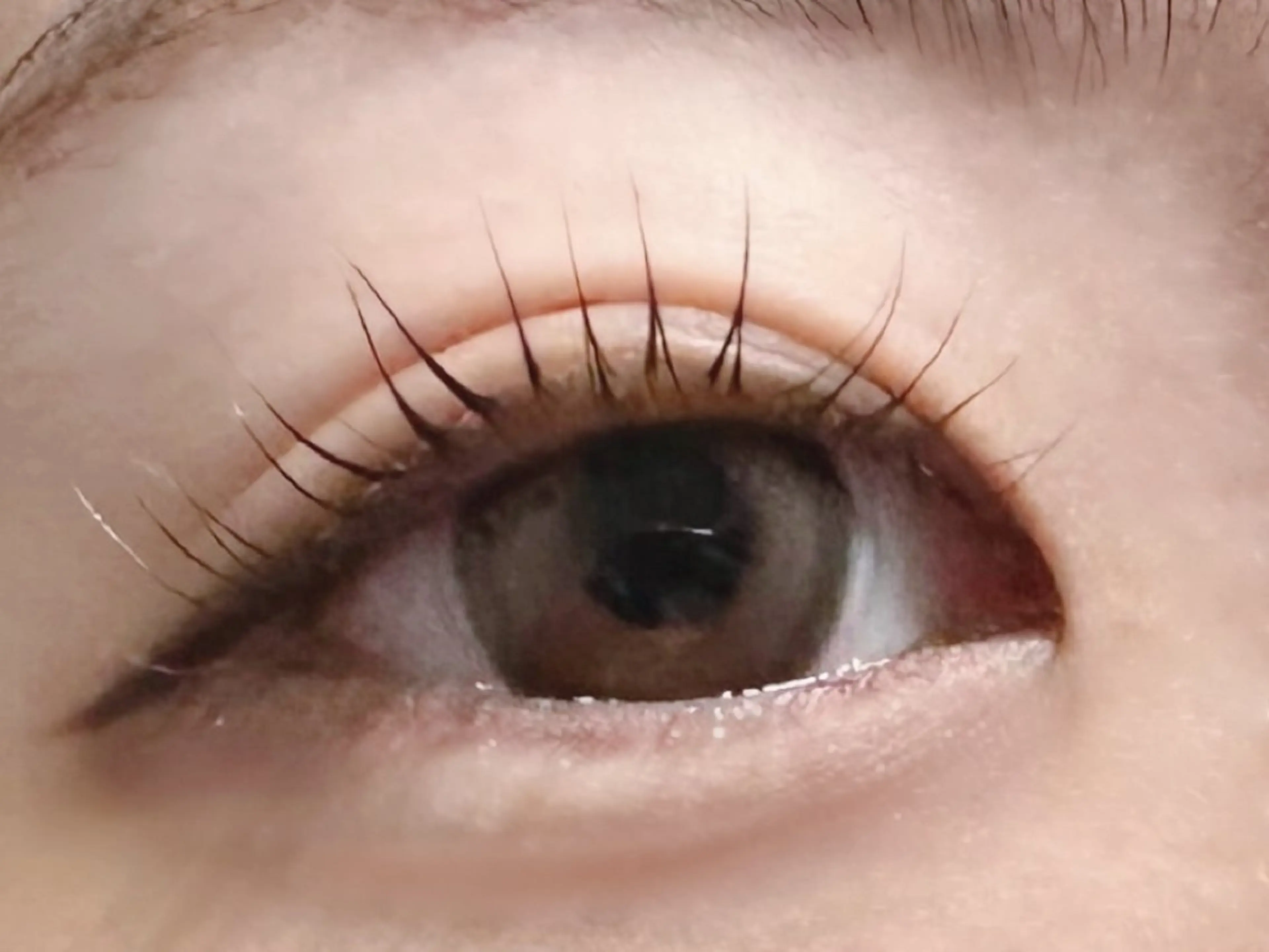 マツエク・マツパ ナチュラル まつげパーマ マツパ Emii Eyelash大通のマツエク・マツパデザイン