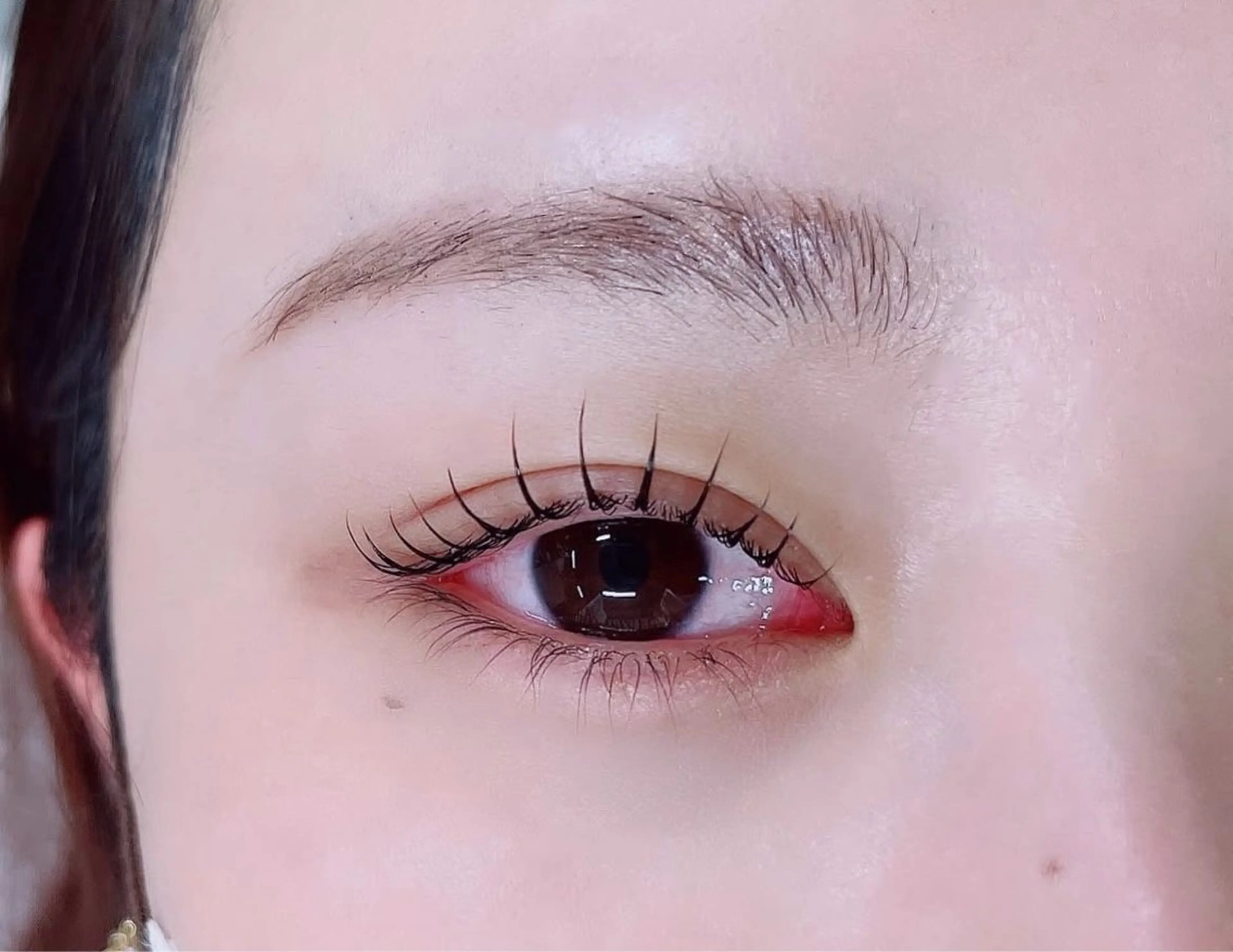 マツエク・マツパ マツパ Shucre名駅🖤 MOMOKAの眉毛・アイブロウイメージ