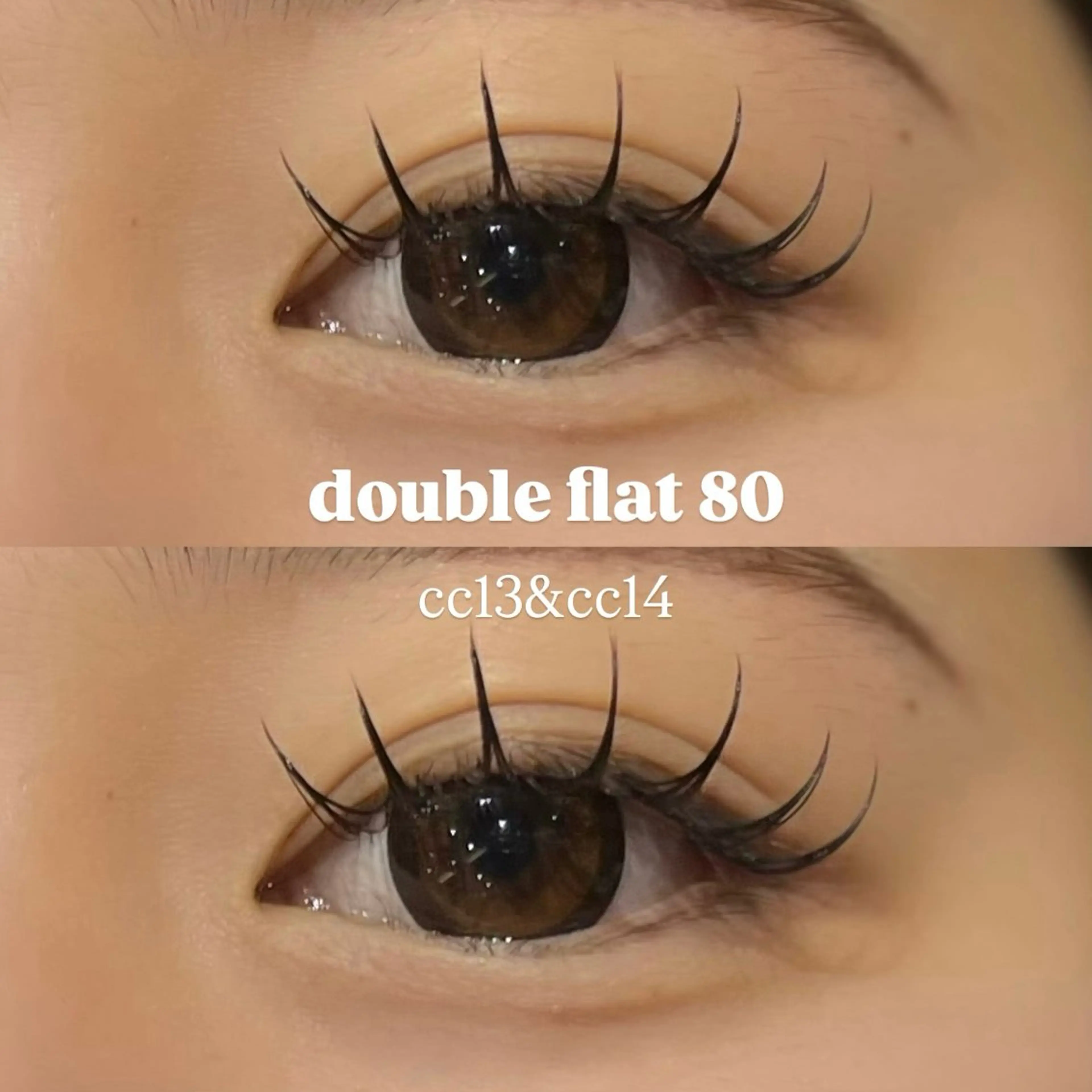 🧸【バインドロックorダブルフラット80束(160本)】 🧸オフ込み🫧の写真