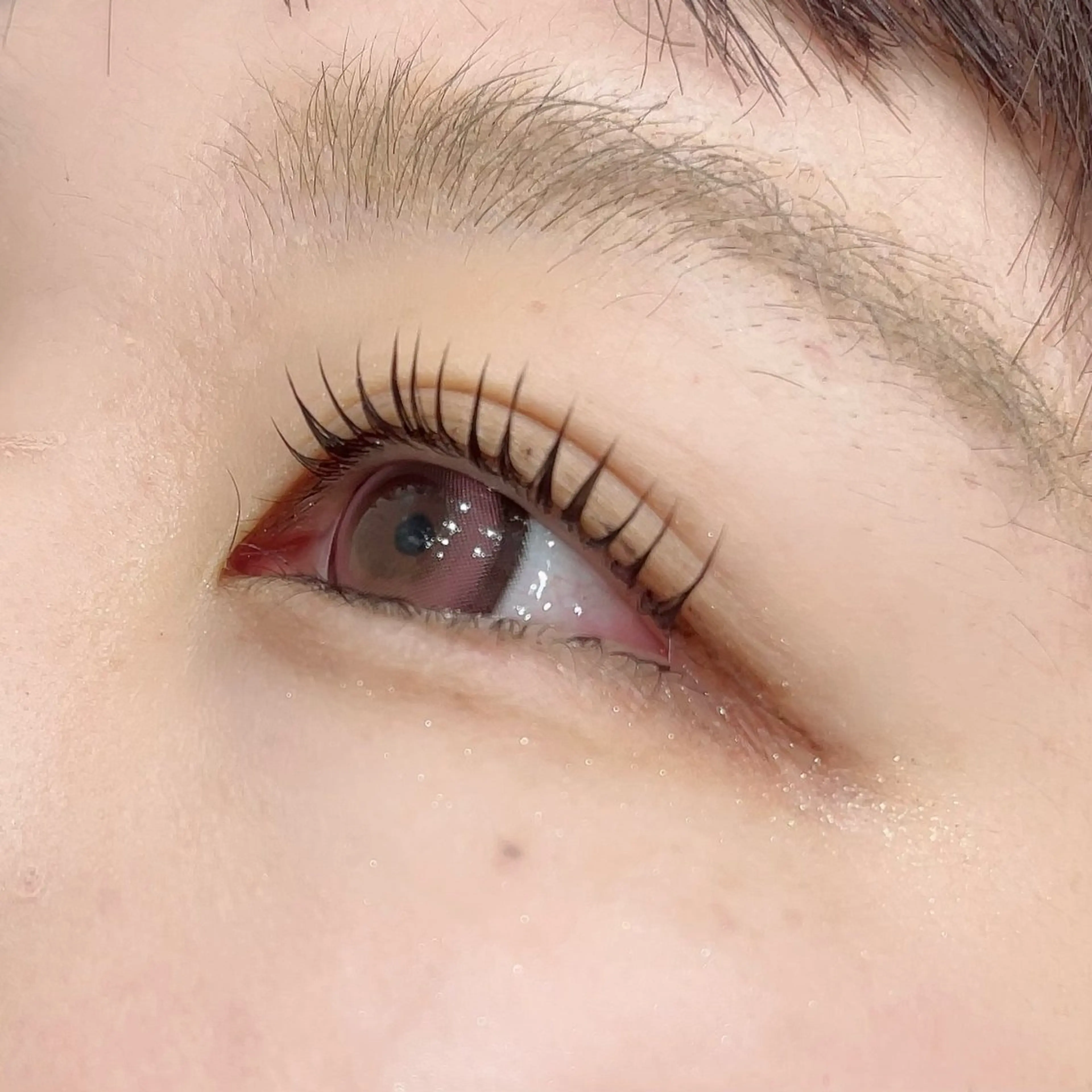 🎀パリジェンヌラッシュリフト🎀の写真