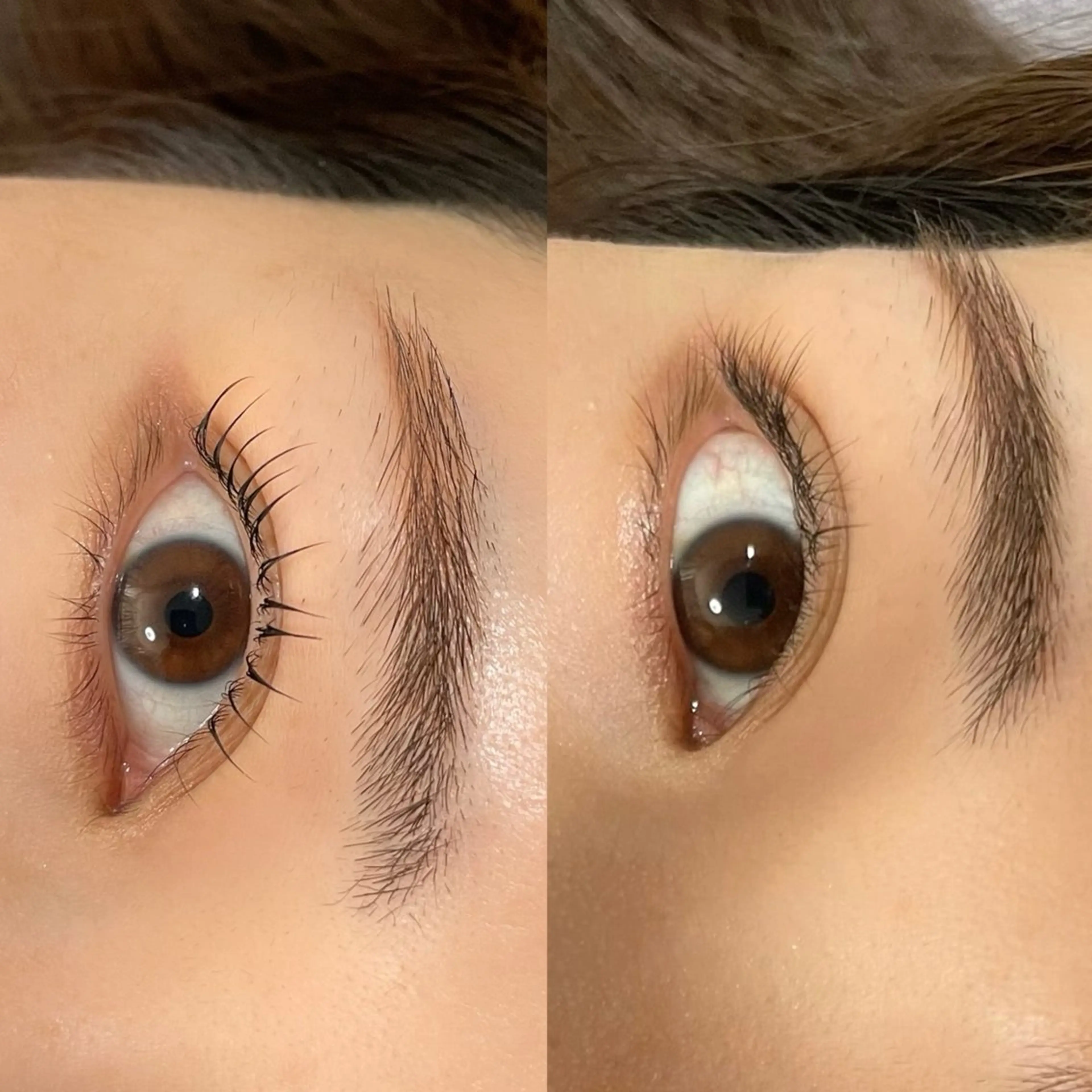 マツエク・マツパ eclipse eyelashのマツエク・マツパデザイン