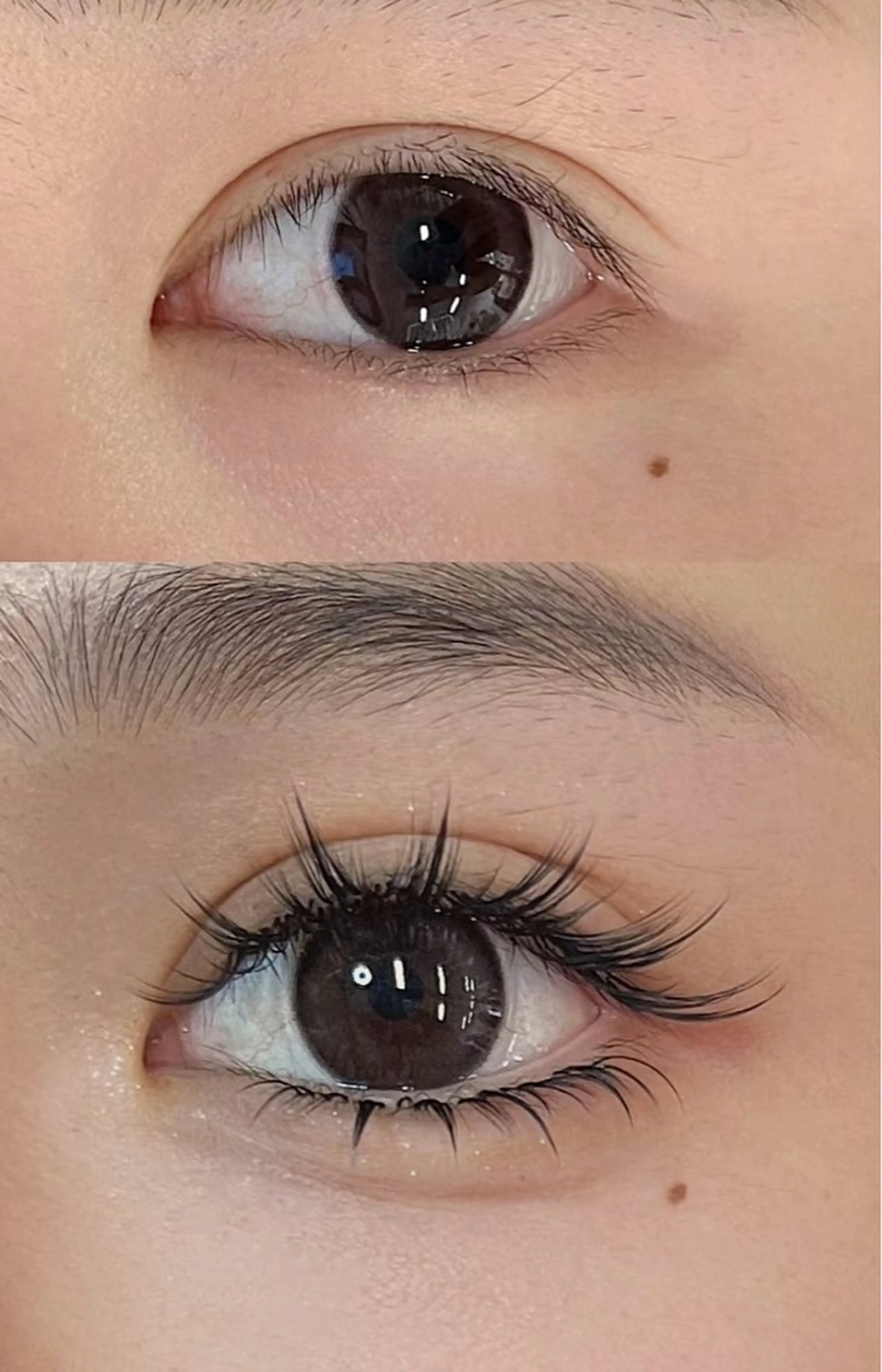 マツエク・マツパ 東京 秋のマツエク・マツパデザイン